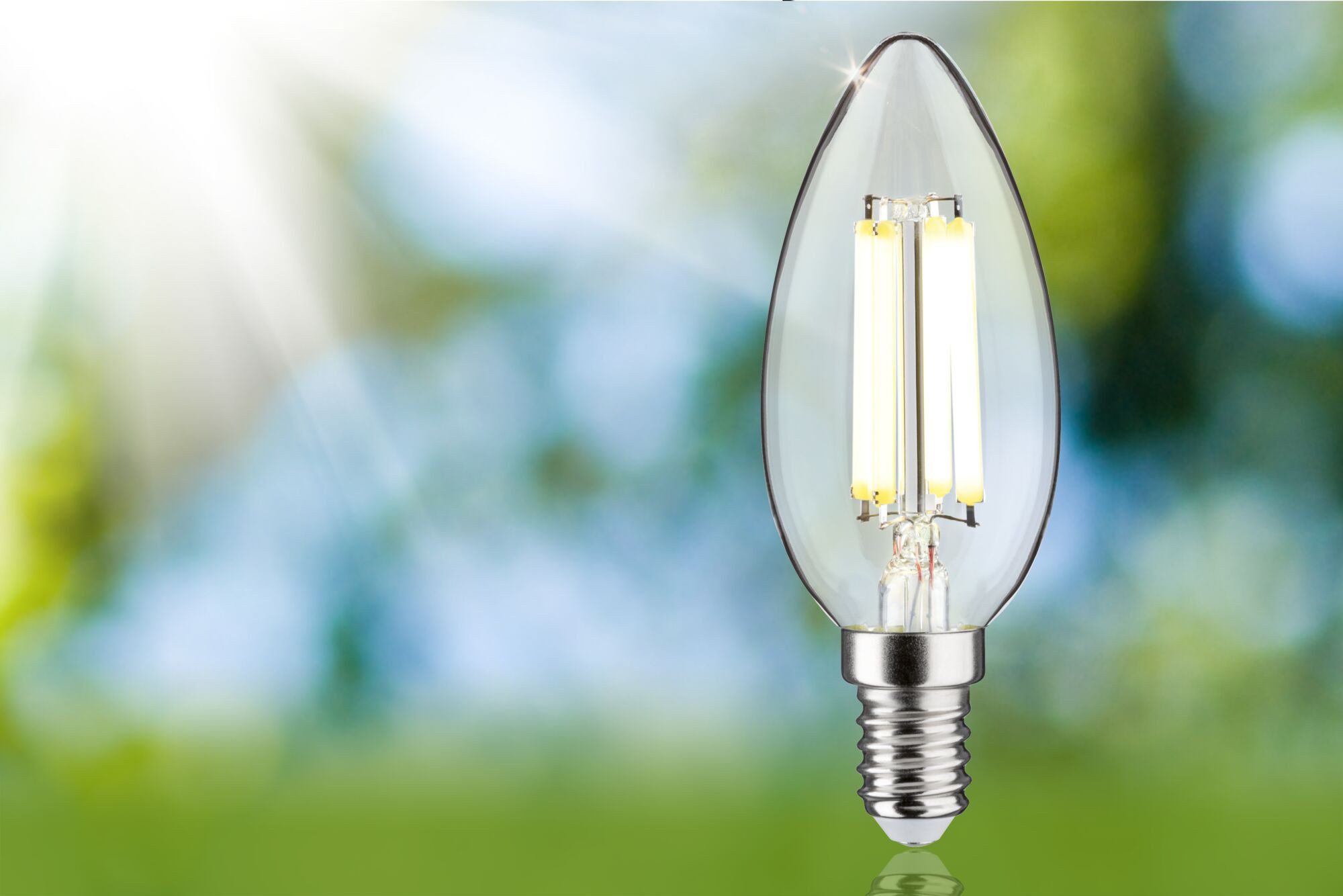 Paulmann Led-verlichting Eco-Line filament 230V LED kaars E14 1-set 525lm 2,5W 4000K helder (1 stuk)