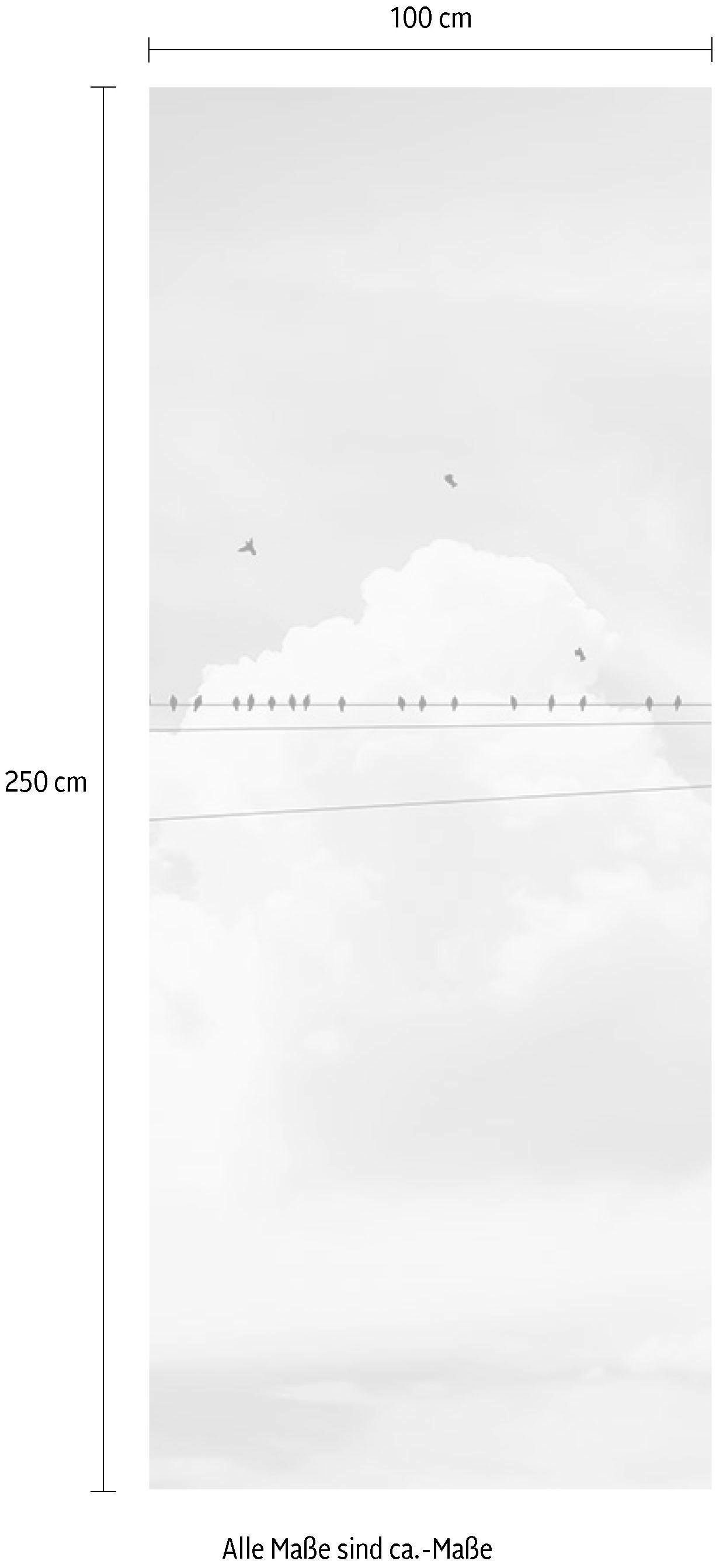 Komar Vliesbehang Digitale print vlies - Cloud Wire Panel - Afmeting 100 x 250 cm (1 stuk)