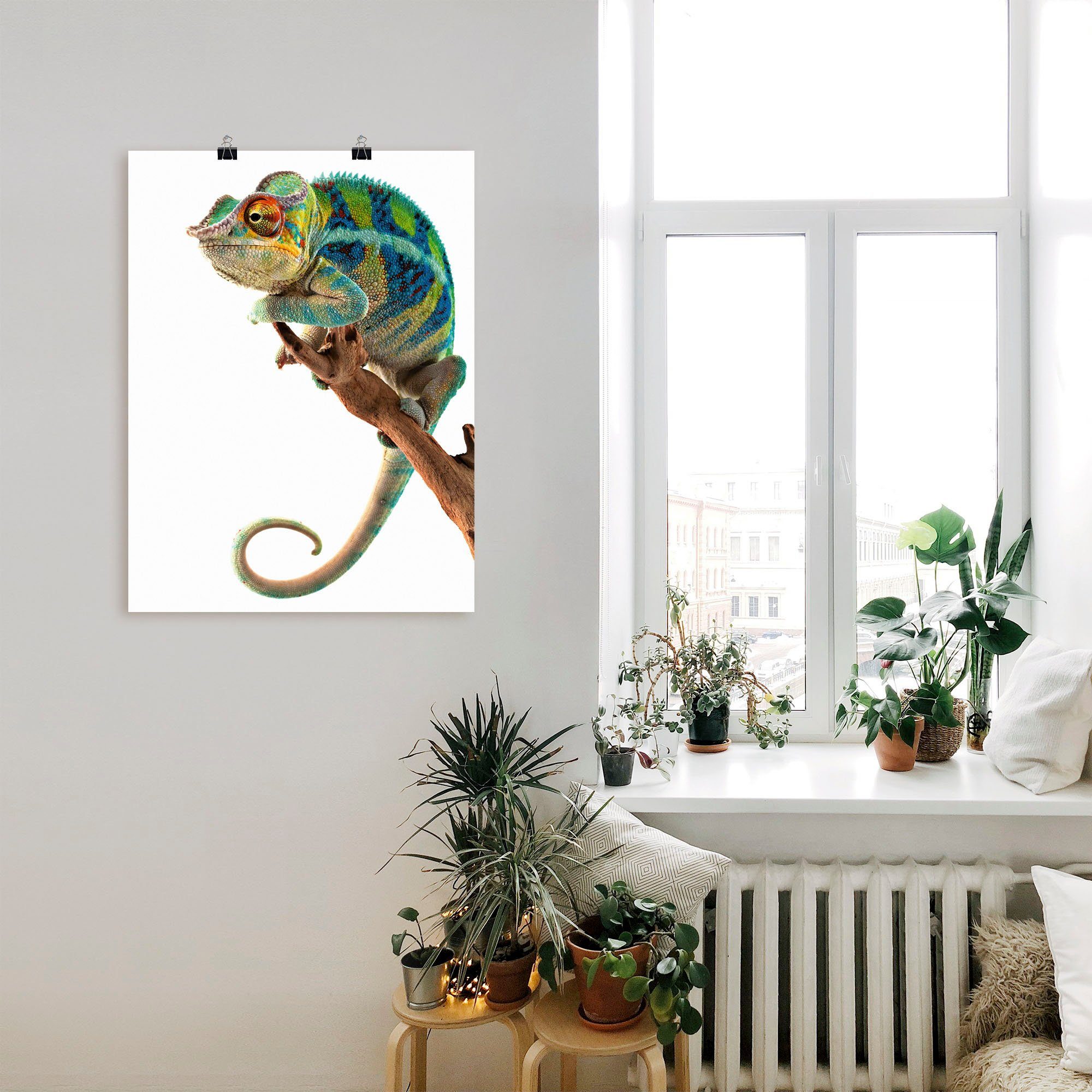 Artland Artprint Ambanja panter kameleon als artprint op linnen, poster in verschillende formaten maten