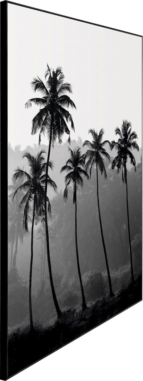 Reinders! Artprint Slim Frame Black 50x70 High Palms