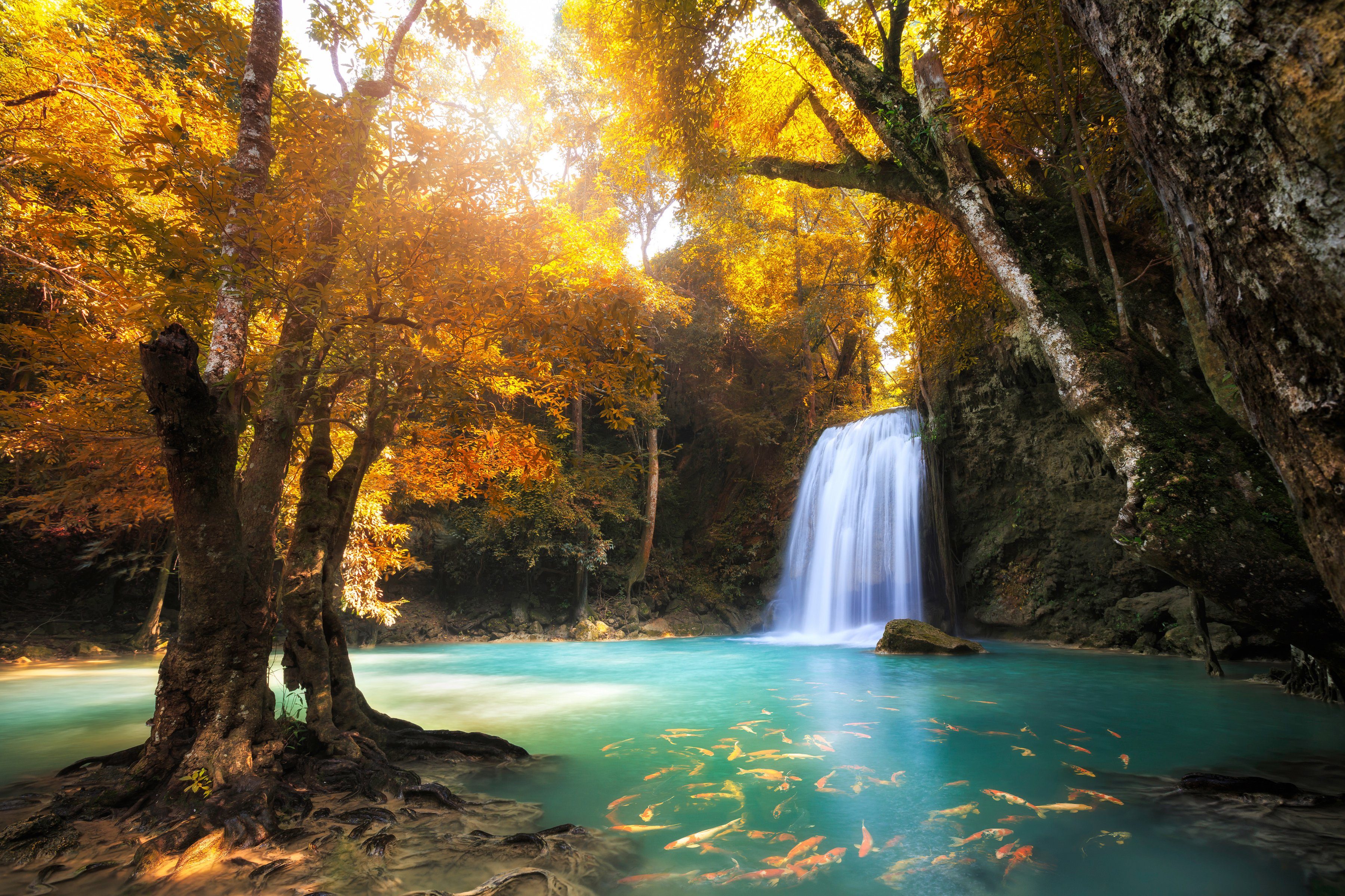 Papermoon Fotobehang Waterfall in Kanchanaburi, Thailand