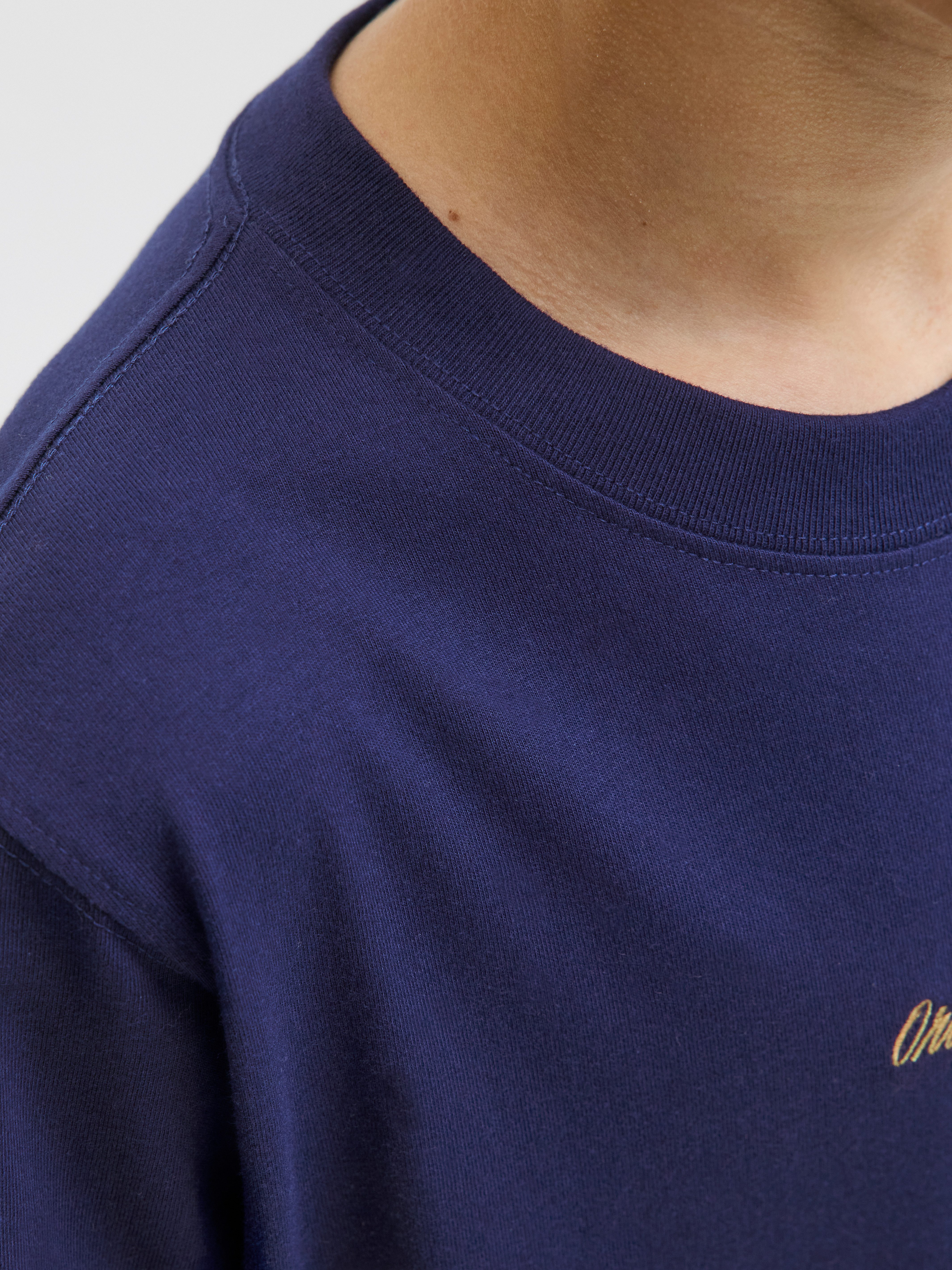 Jack & Jones Junior T-shirt JORNORREBRO EMB TEE SS CN NOOS JNR
