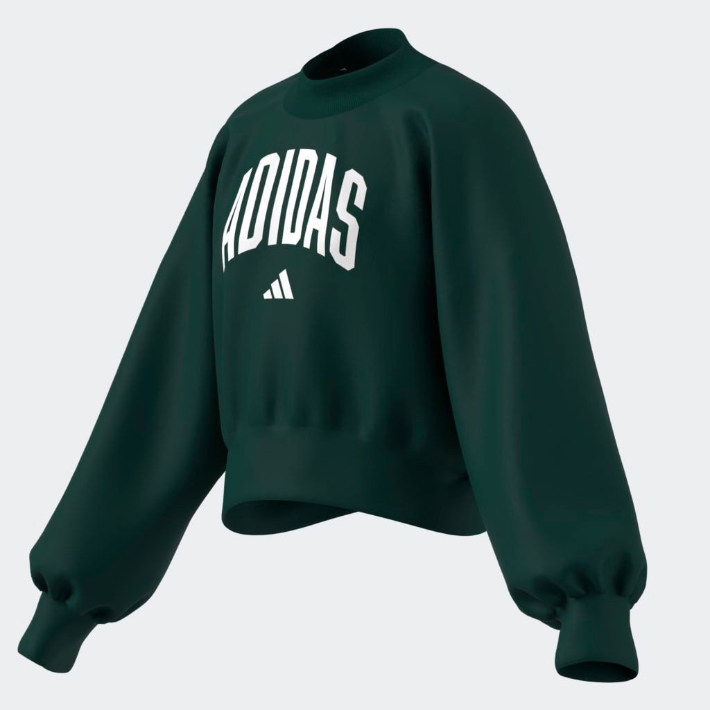 adidas Sportswear Sweatshirt JG CLGT FT SWT