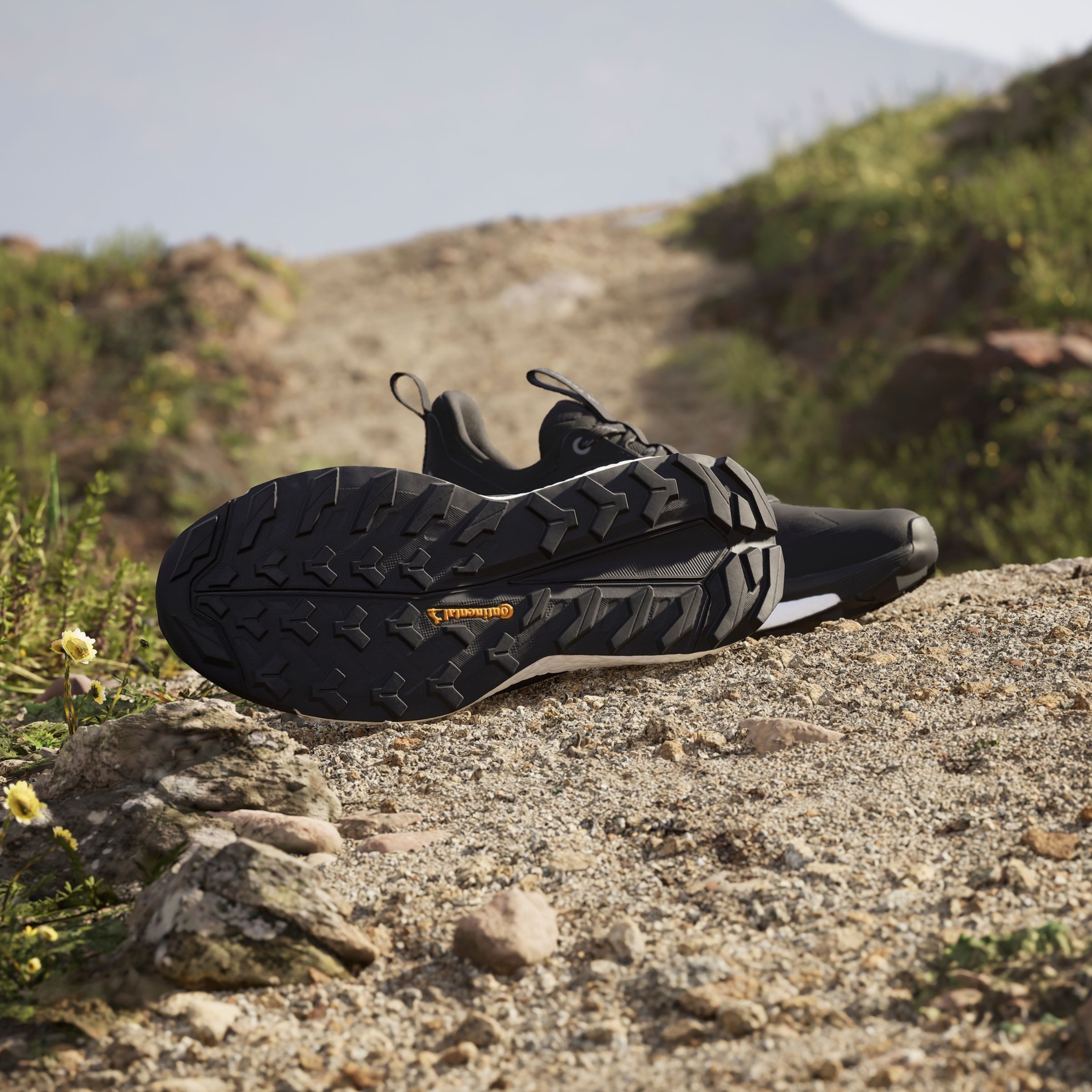 adidas TERREX Wandelschoenen TERREX FREE HIKER 2.0 LOW