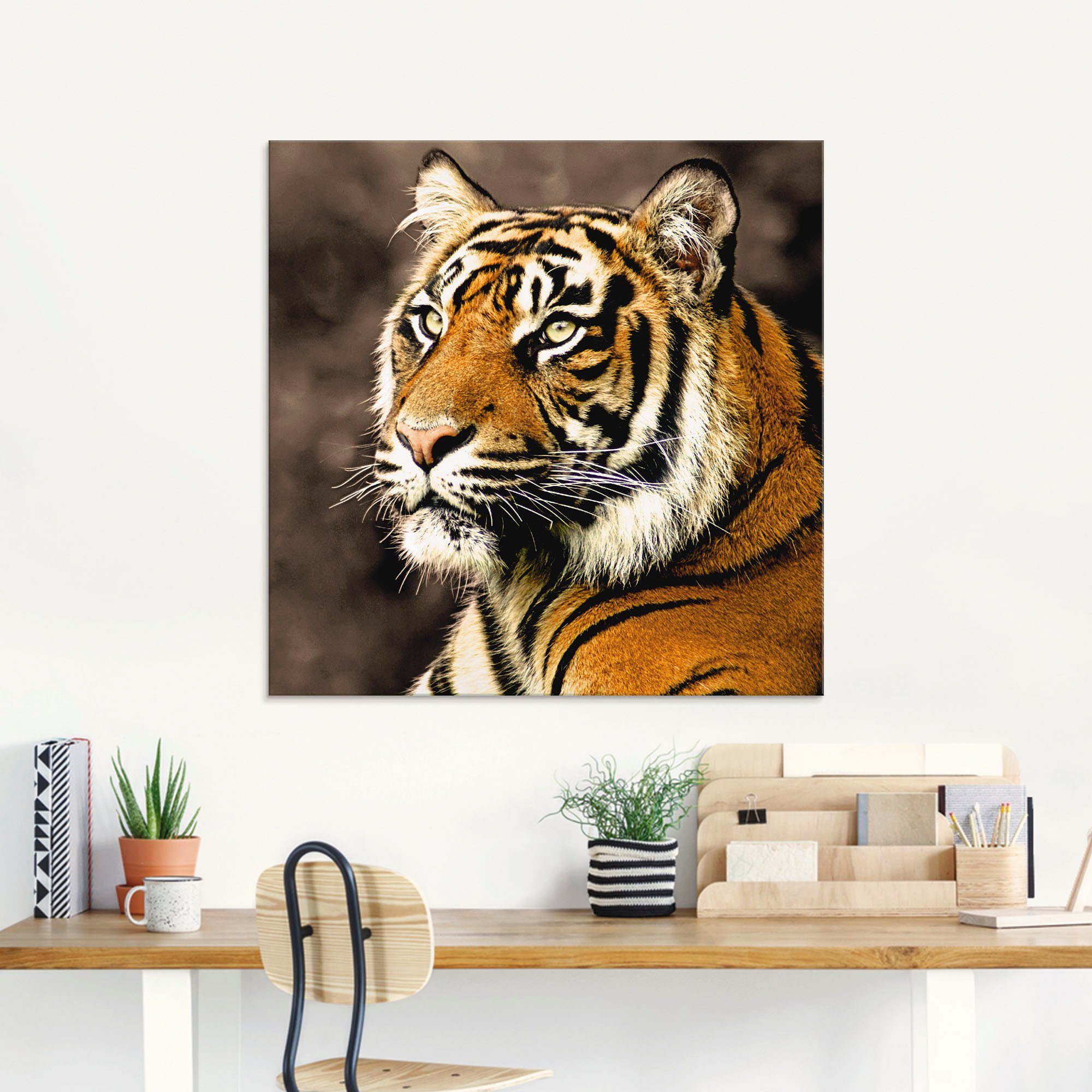 Artland Print op glas Tiger_sepia in verschillende maten