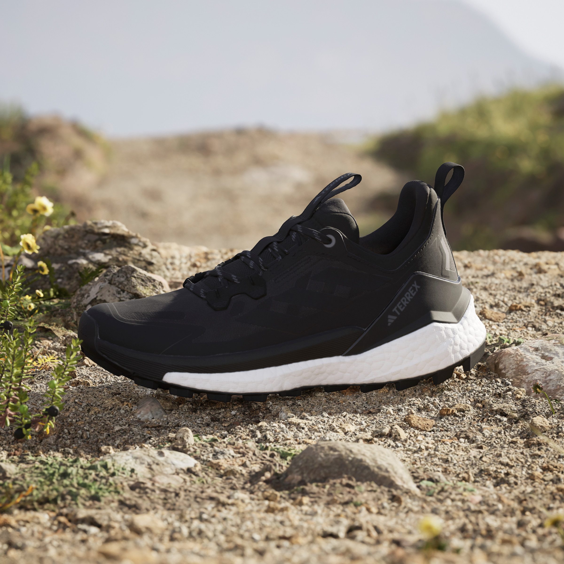adidas TERREX Wandelschoenen TERREX FREE HIKER 2.0 LOW