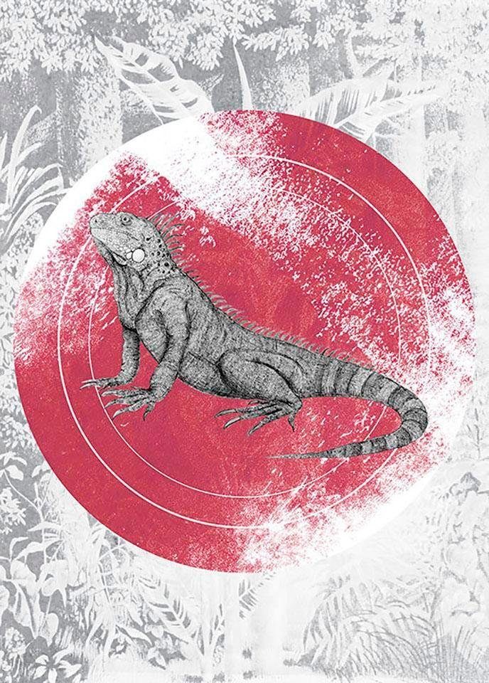 Komar Wanddecoratie Iguana Circle Wanddecoratie - zonder lijst (1 stuk)