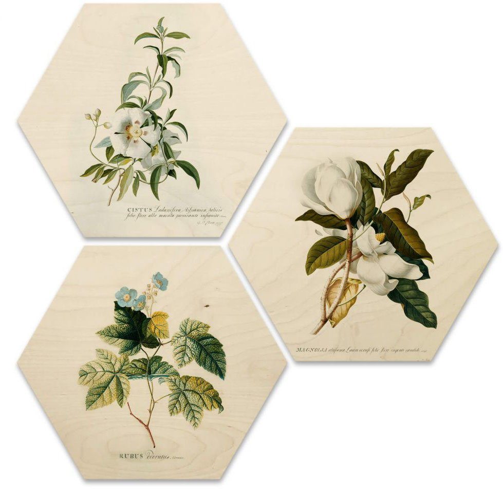 Wall-Art Meerdelige artprint Botanische collage bloemen fleurig (set, 3 stuks)