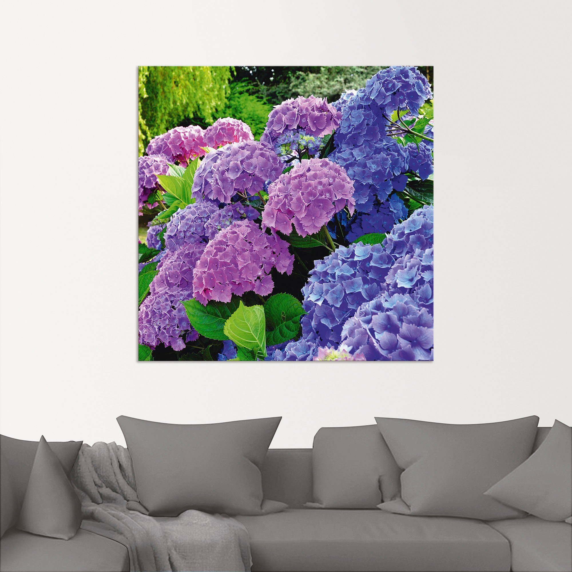 Artland Artprint Hortensia's in de tuin als artprint van aluminium, artprint voor buiten, artprint op linnen, poster, muursticker