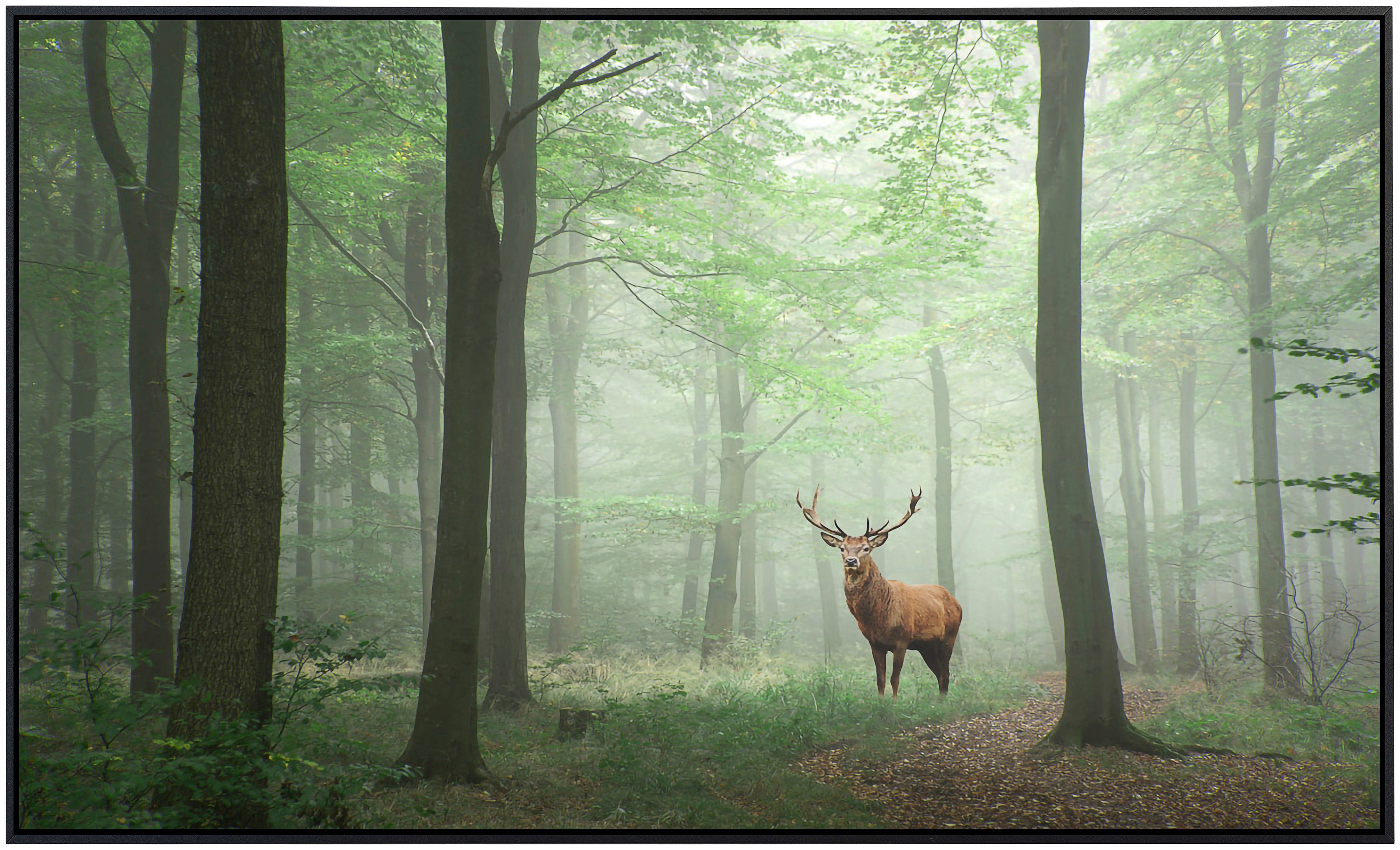 Papermoon Infraroodverwarming Edelhert in het bos zeer aangename stralingswarmte