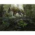 papermoon fotobehang jaguar on the prowl multicolor