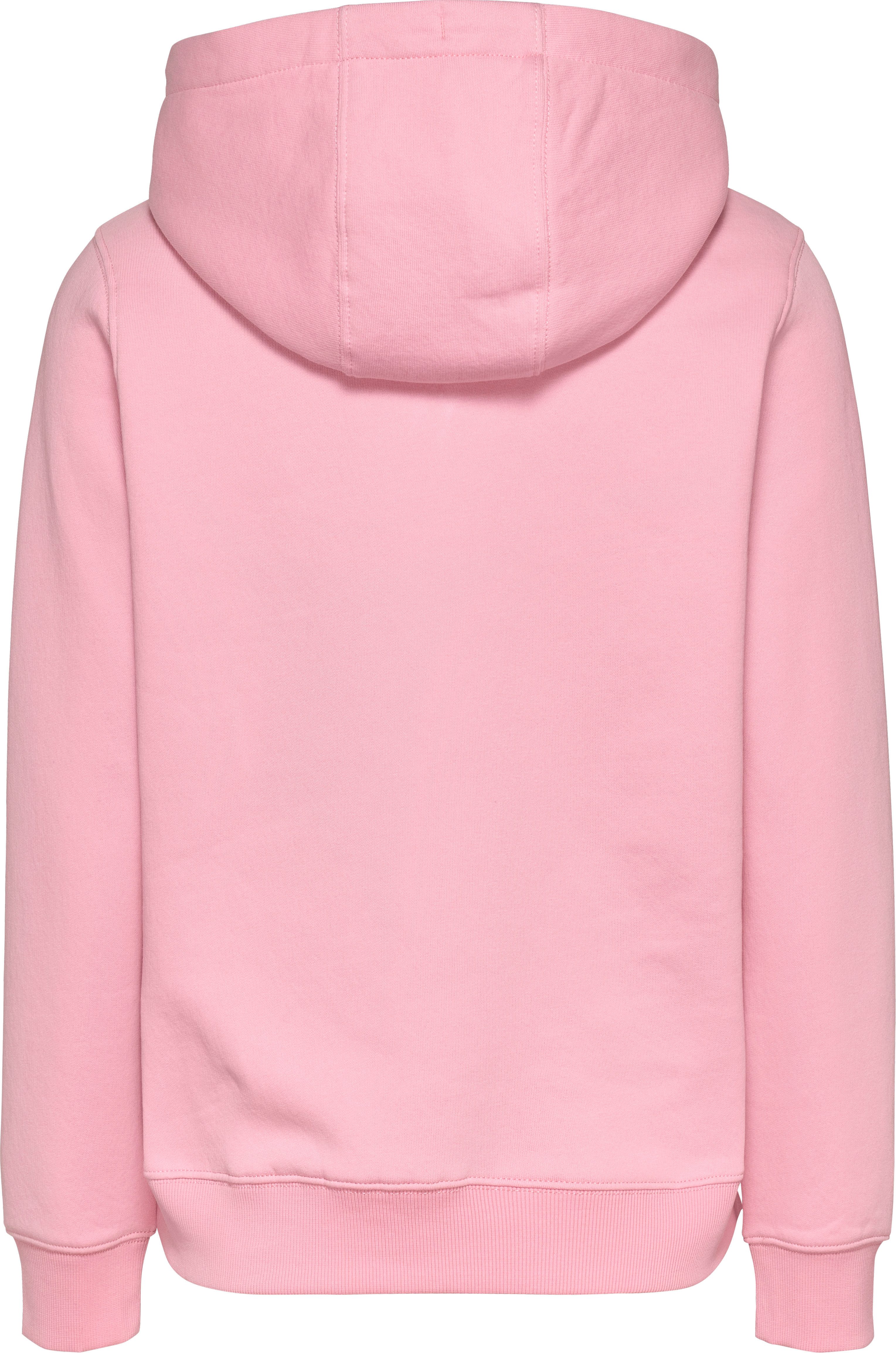 TOMMY JEANS Hoodie TJW REG ESS LOGO HOODIE EXT