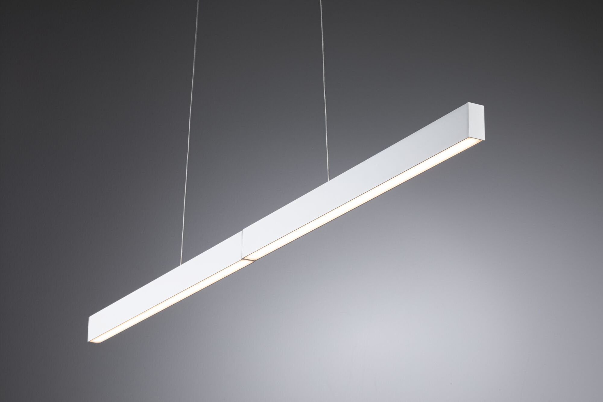 Paulmann Led-hanglamp Aptare LED-module, dimbaar, 230 V (1 stuk)