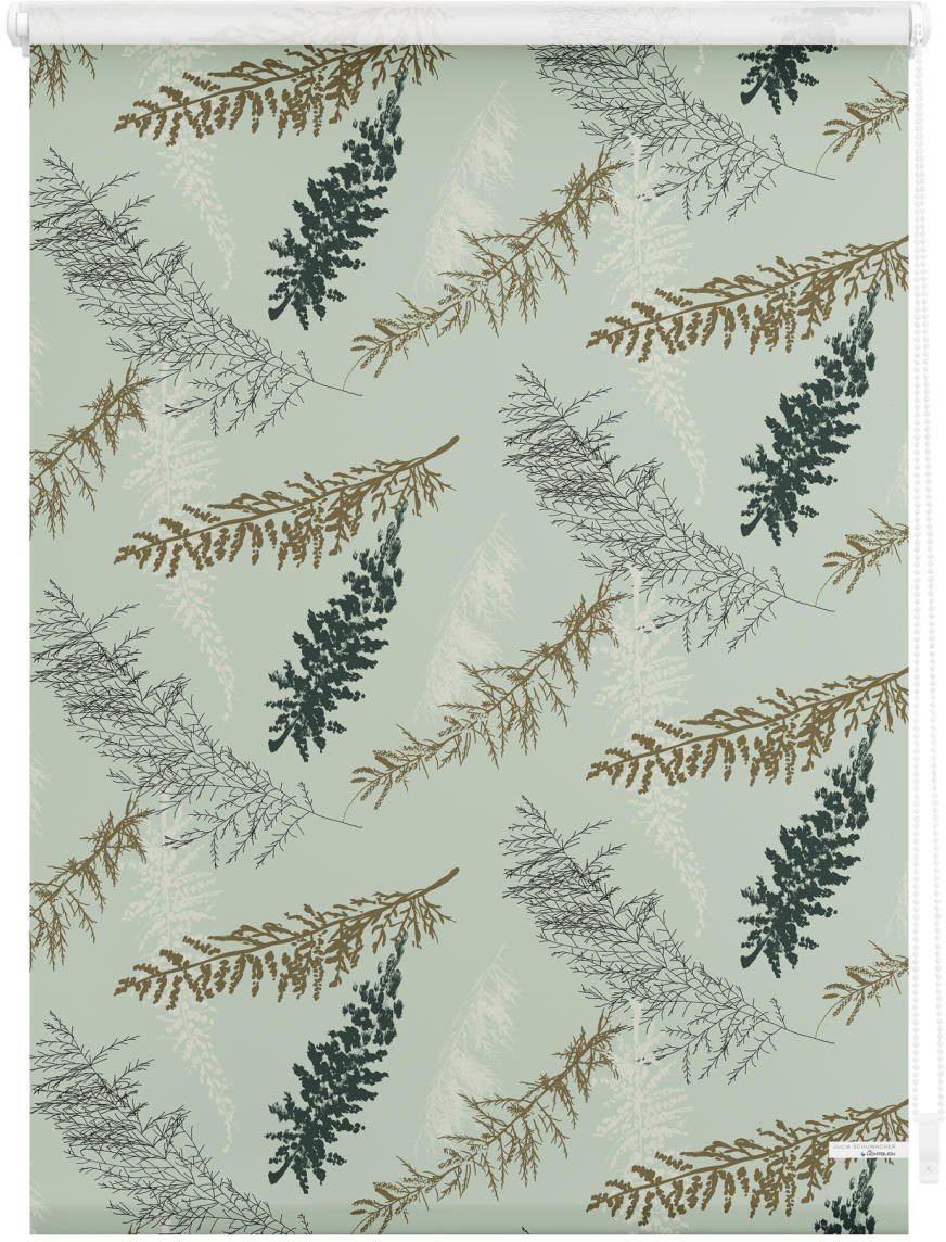 LICHTBLICK Rolgordijn met zijbediening Rolgordijn Klemmfix, zonder boren, verduistering, Fir Branches - groen (1 stuk)