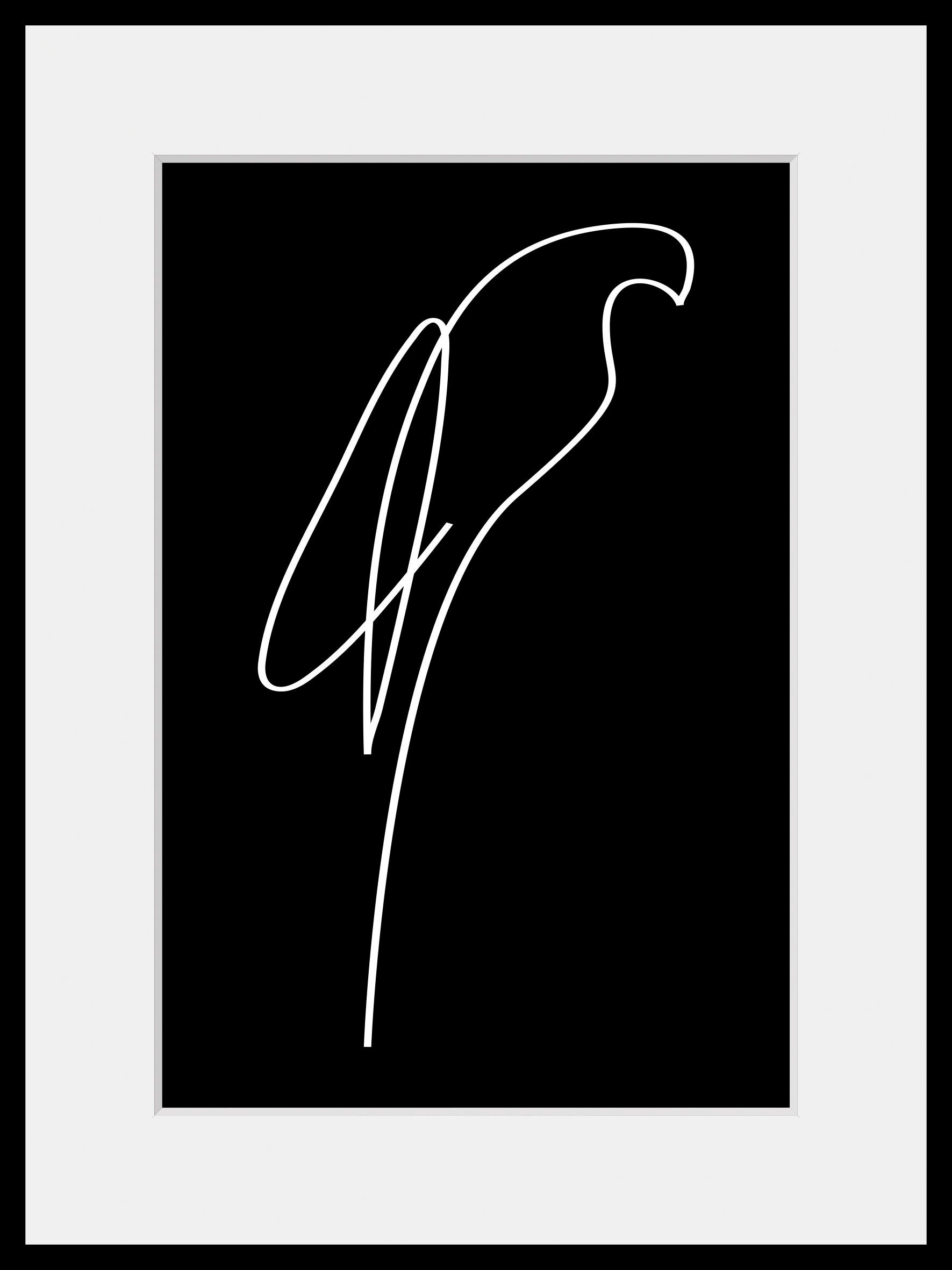 queence Wanddecoratie Julian HD premium posterdruk incl. houten lijst (1 stuk)