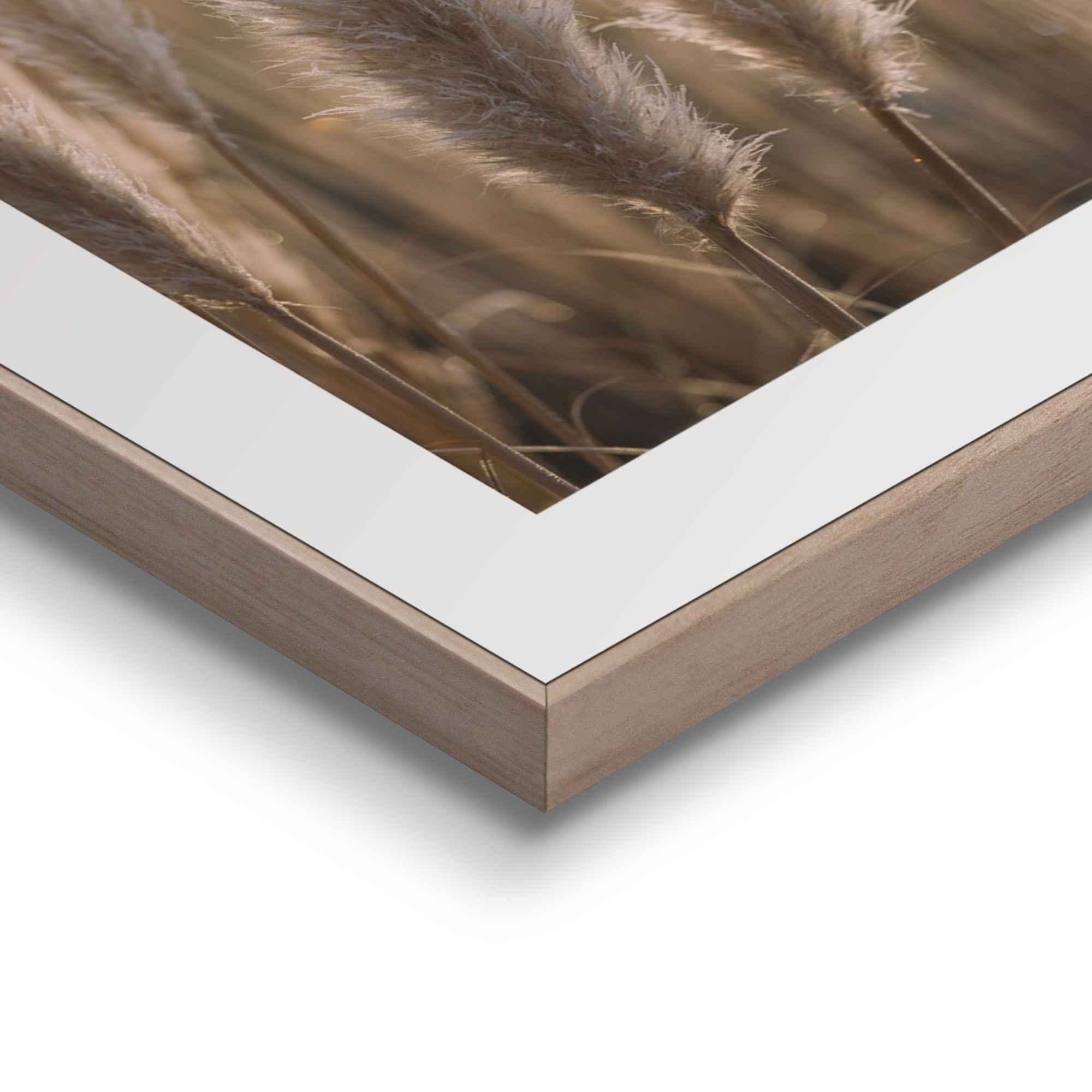 Reinders! Artprint Natuur botanisch - pampa - paardenbloem - close-up (2-delig)