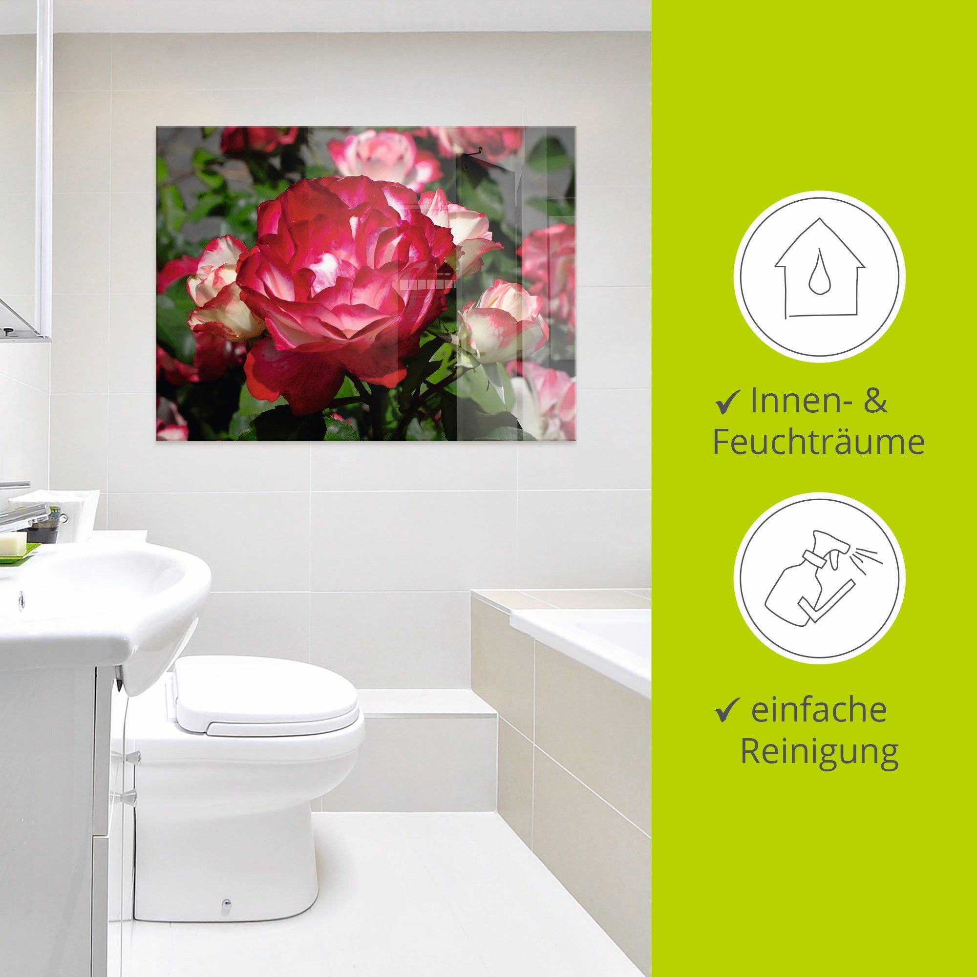 Artland Print op glas Rood witte roos in verschillende maten