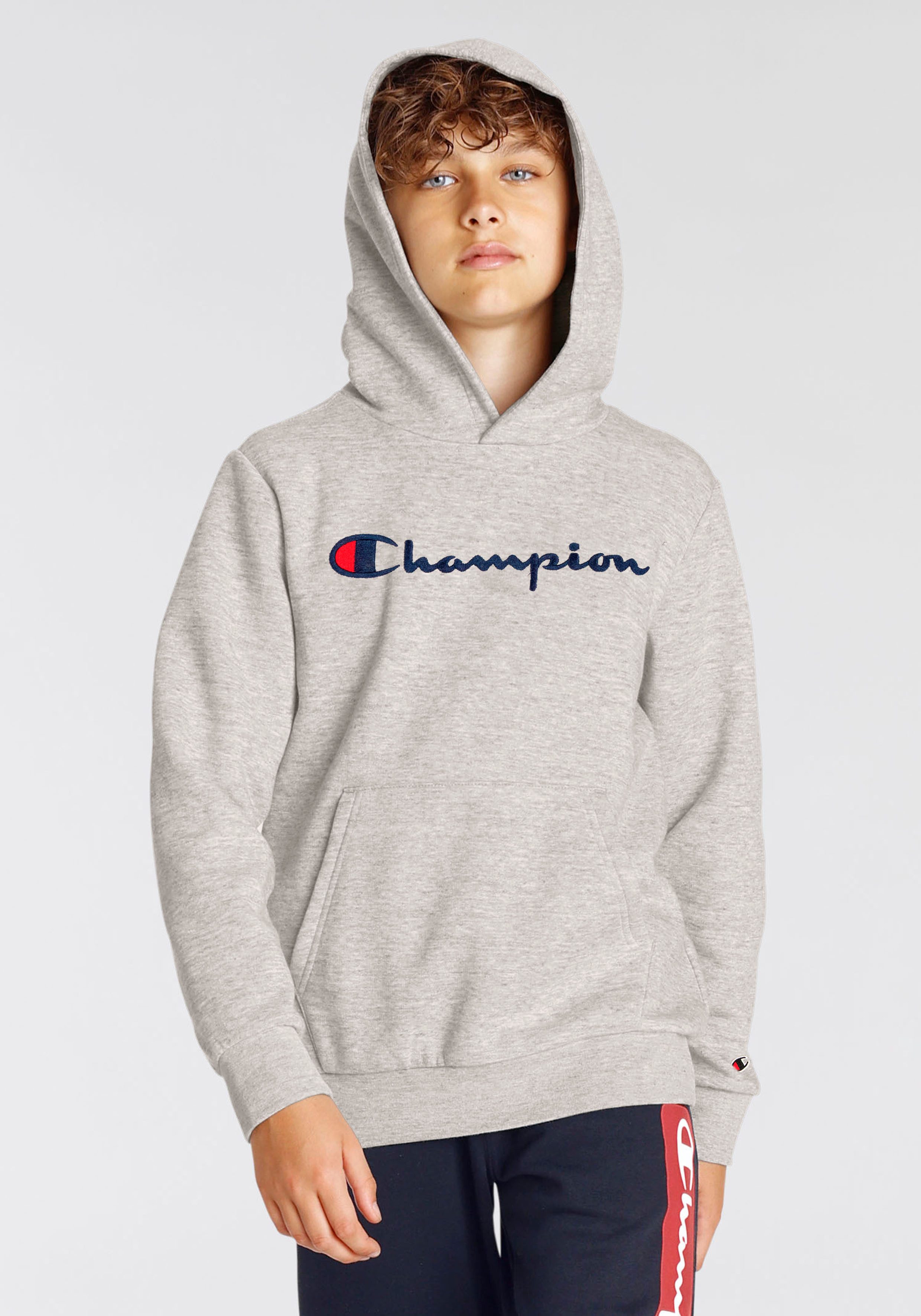 Champion Geborduurde Logo Hoodie Gray