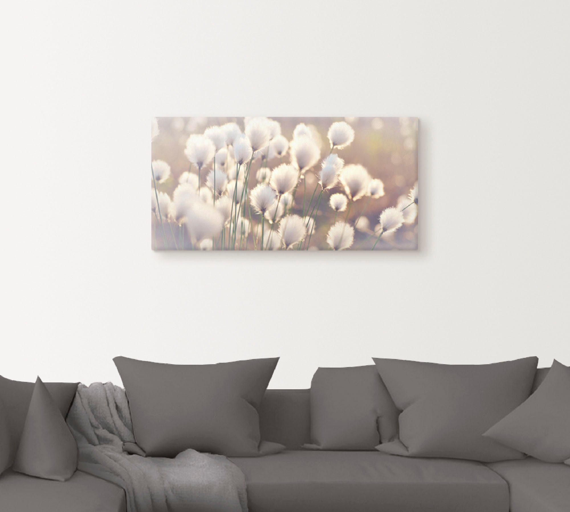 Artland Artprint Wolgrasmagie in het veen als artprint van aluminium, artprint voor buiten, artprint op linnen, poster, muursticker