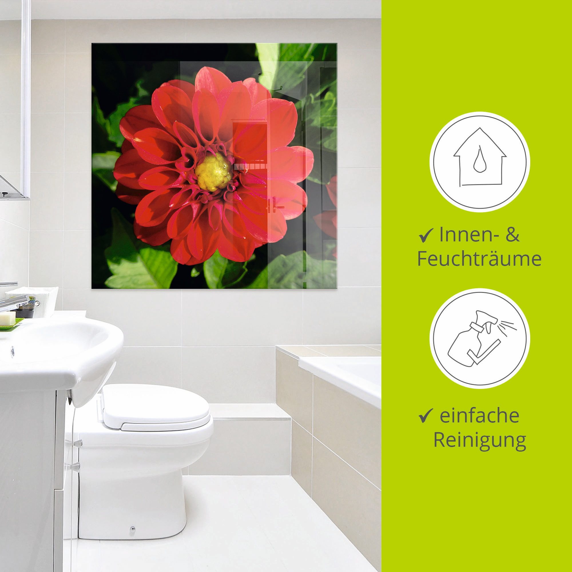 Artland Print op glas Rode dahlia in verschillende maten