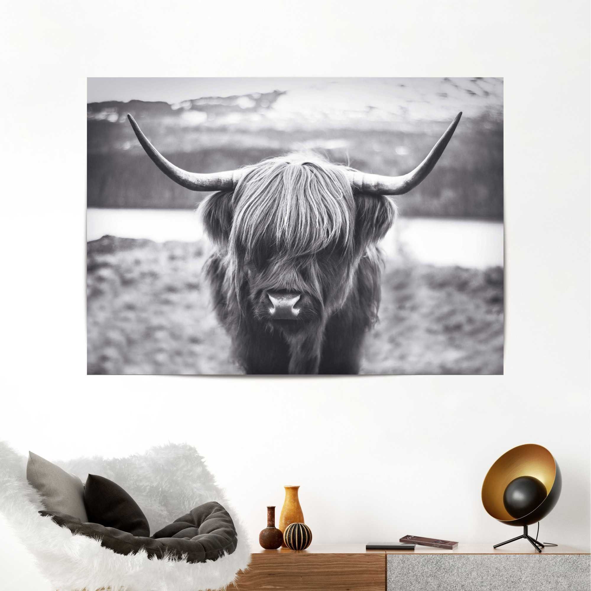 Reinders! Poster Hooglandkoe