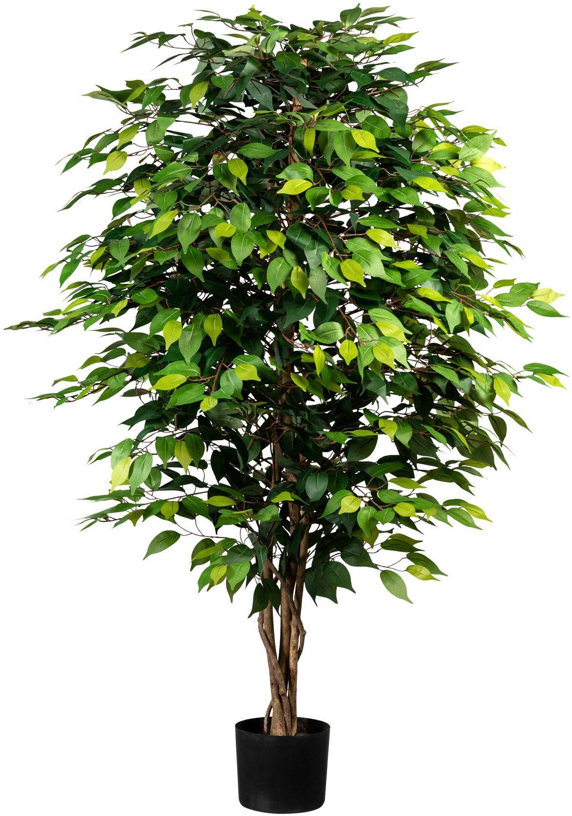 Creativ green Kunstplant Ficus Benjamini