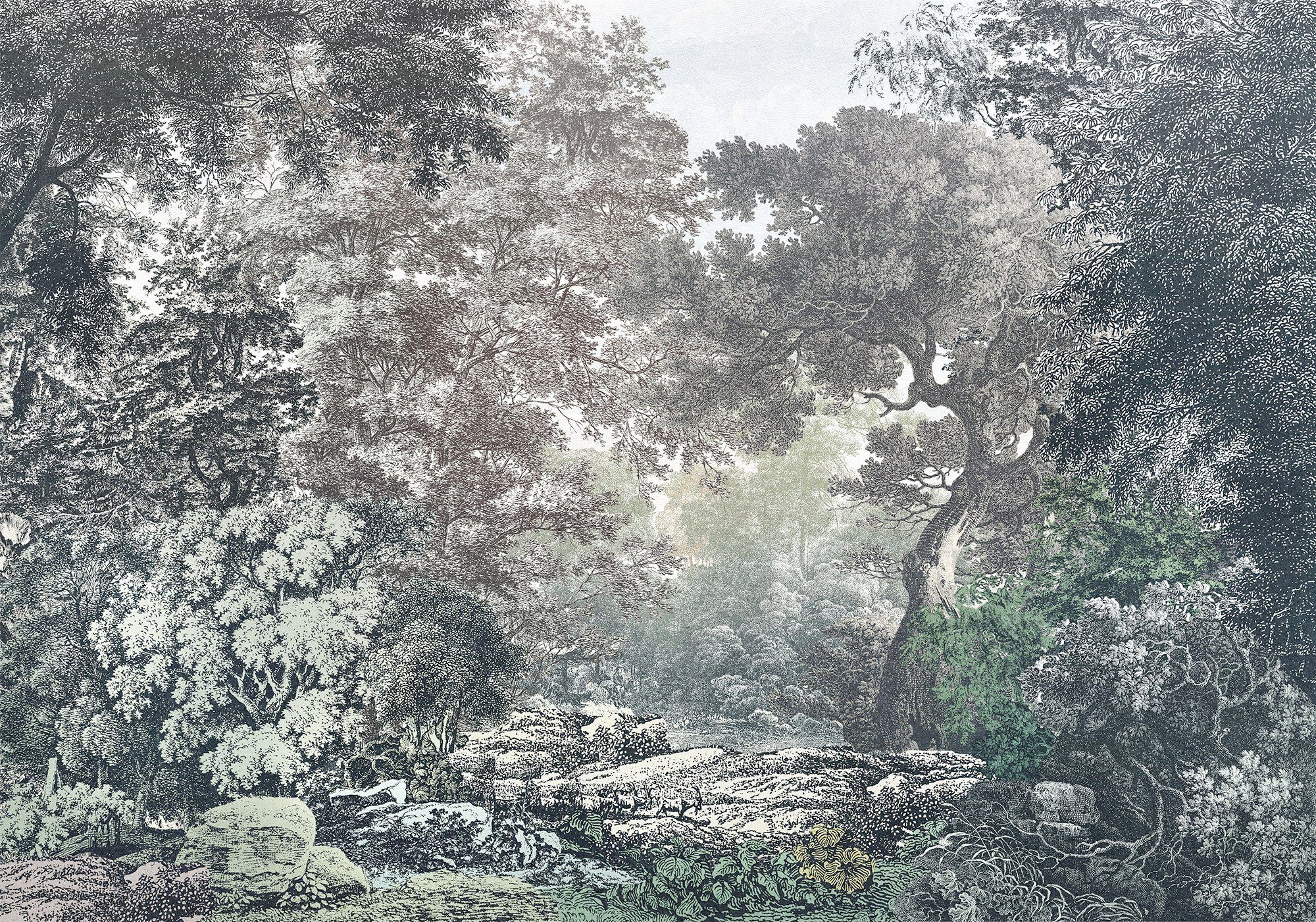 Komar Fotobehang Digitale print vlies - Fairytale Forest - Afmeting 400 x 280 cm (1 stuk) fotobehang multicolor