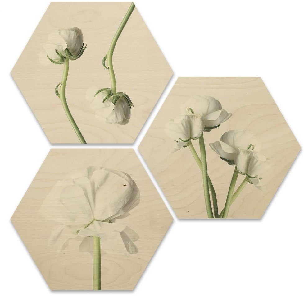 Wall-Art Meerdelige artprint Lelietje-van-dalen bloemen collage (set, 3 stuks)