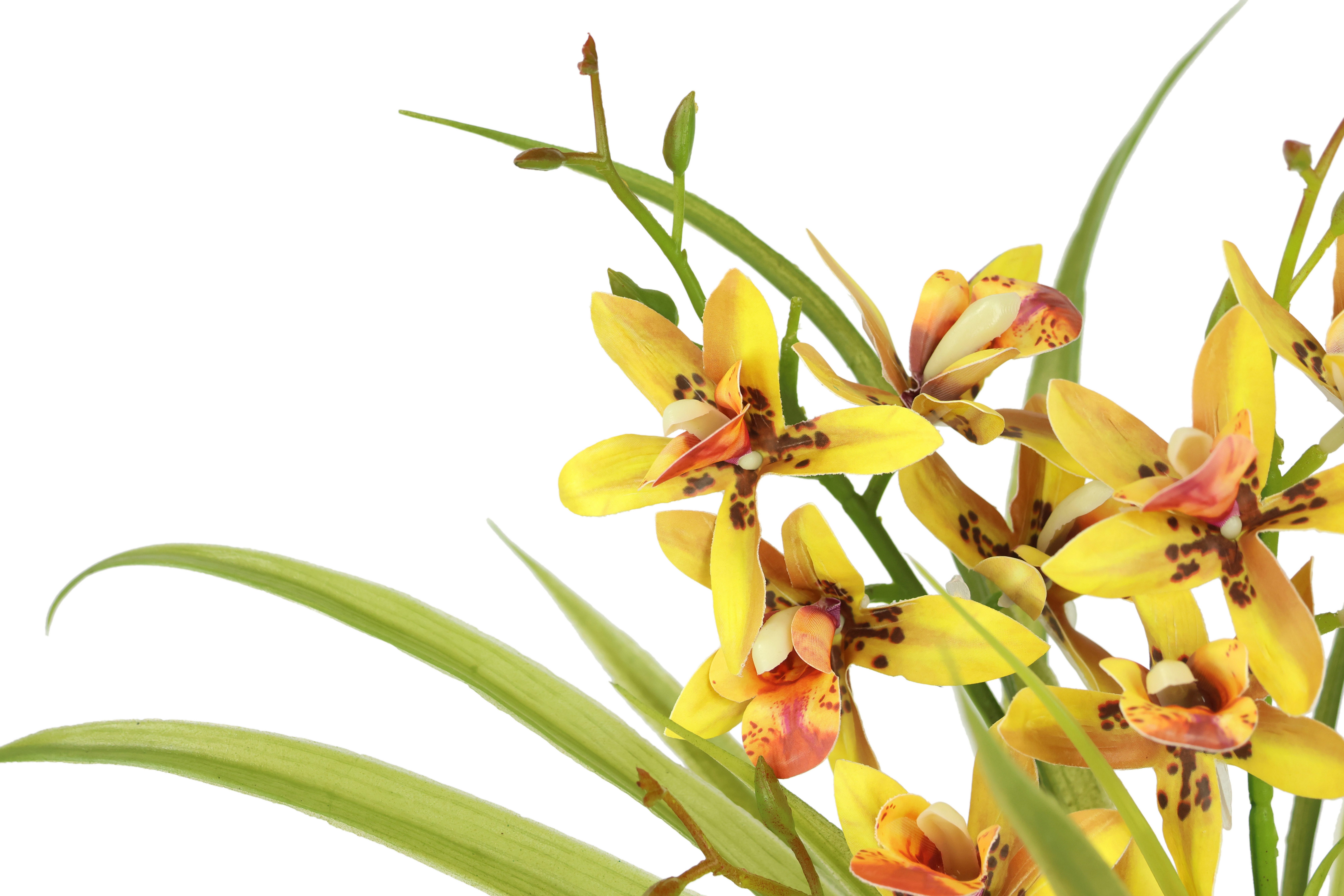 I.GE.A. Kunstbloem vlinderorchidee met keramische pot Met bladeren en luchtwortels, kunstorchidee Phalaenopsis, kunstplant (1 stuk)