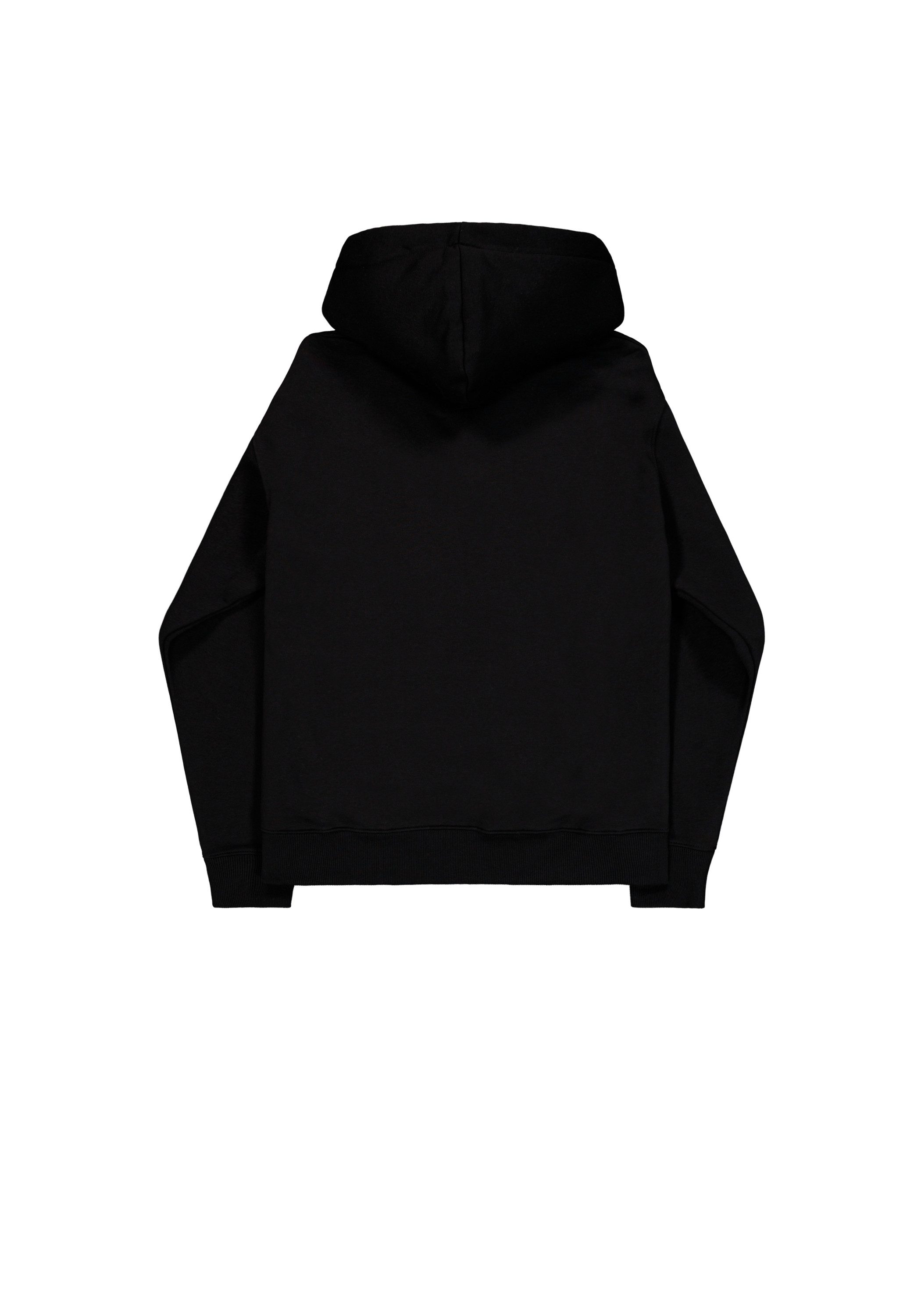 Alpha Industries Hoodie Alpha Industries Men - Hoodies Embroidery Hoodie
