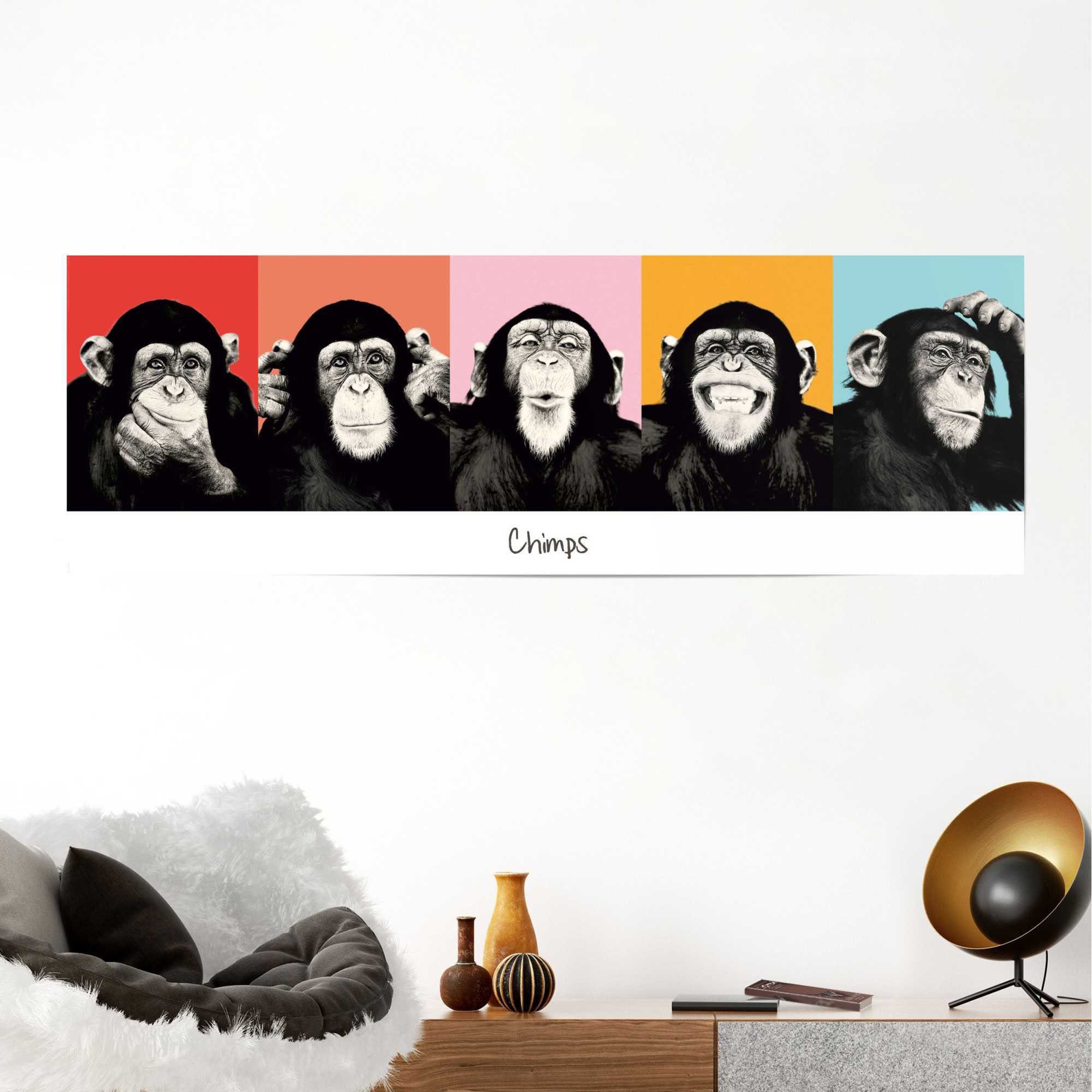 Reinders! Poster Chimpansee pop