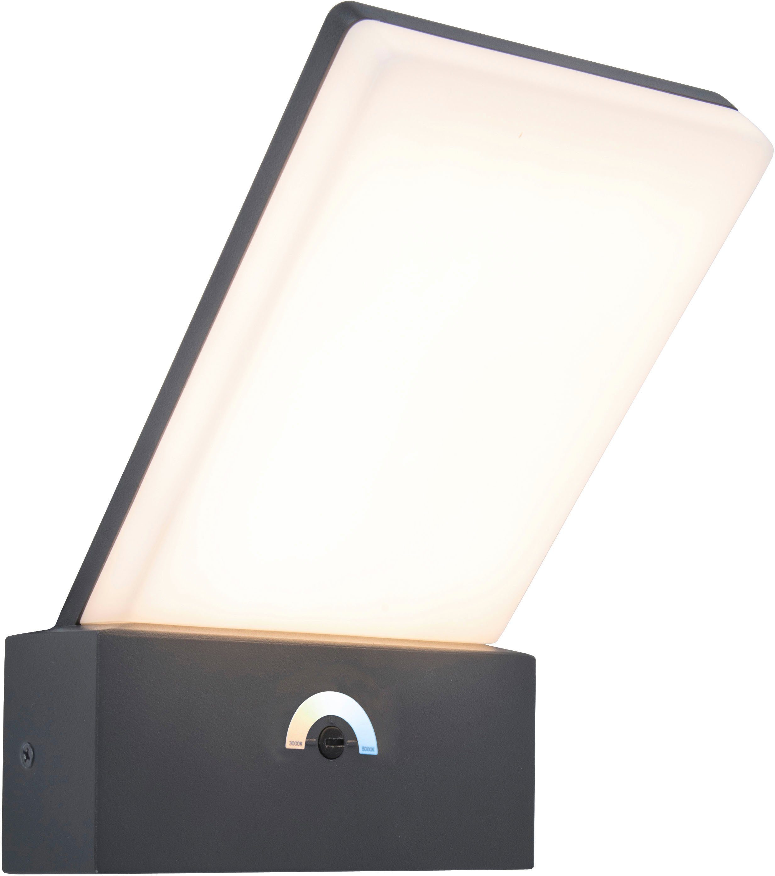 LUTEC Ledwandlamp voor buiten PANO (1 stuk)