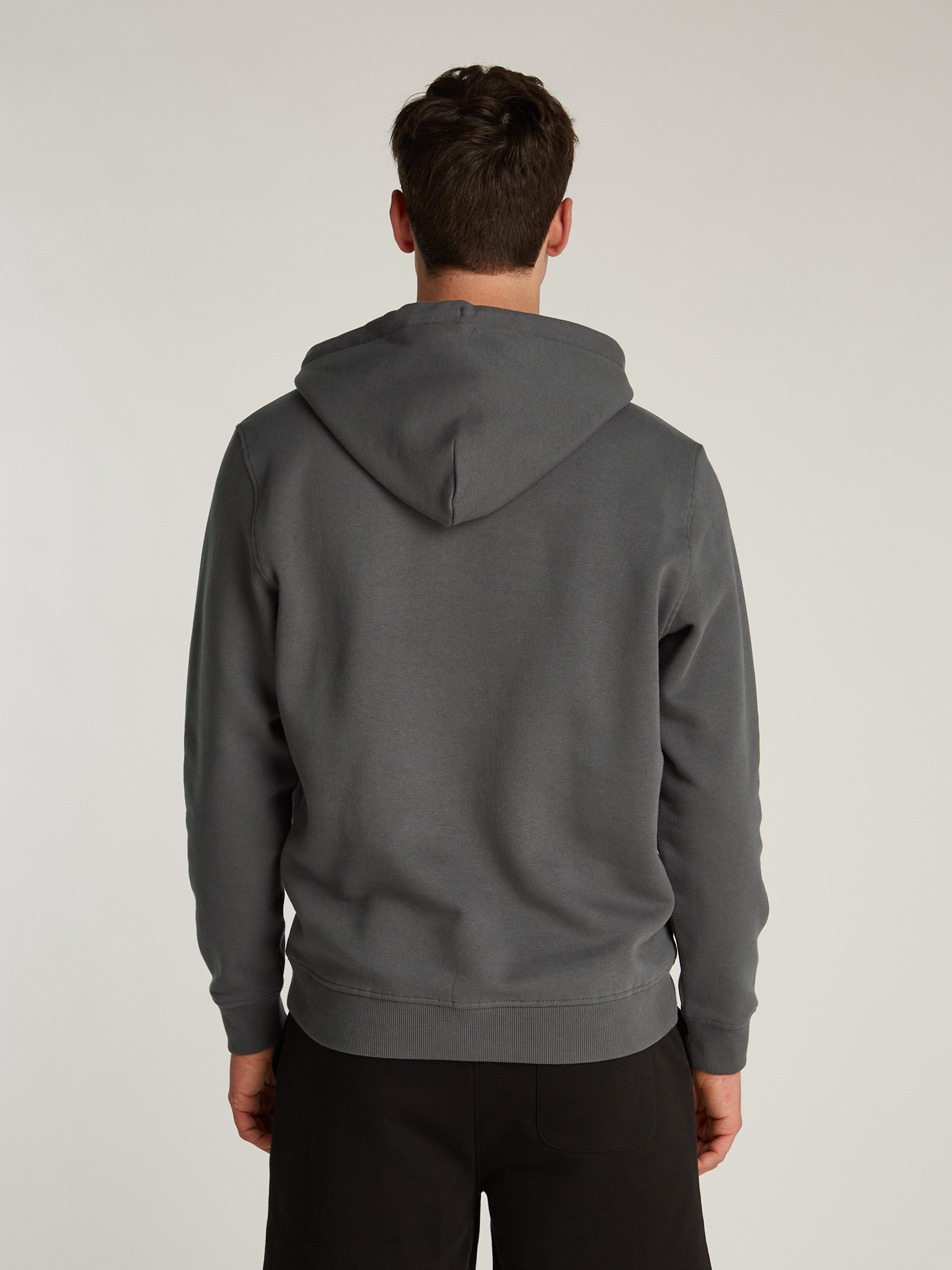 TOMMY JEANS Hoodie TJM REG LINEAR LOGO HOODIE EXT