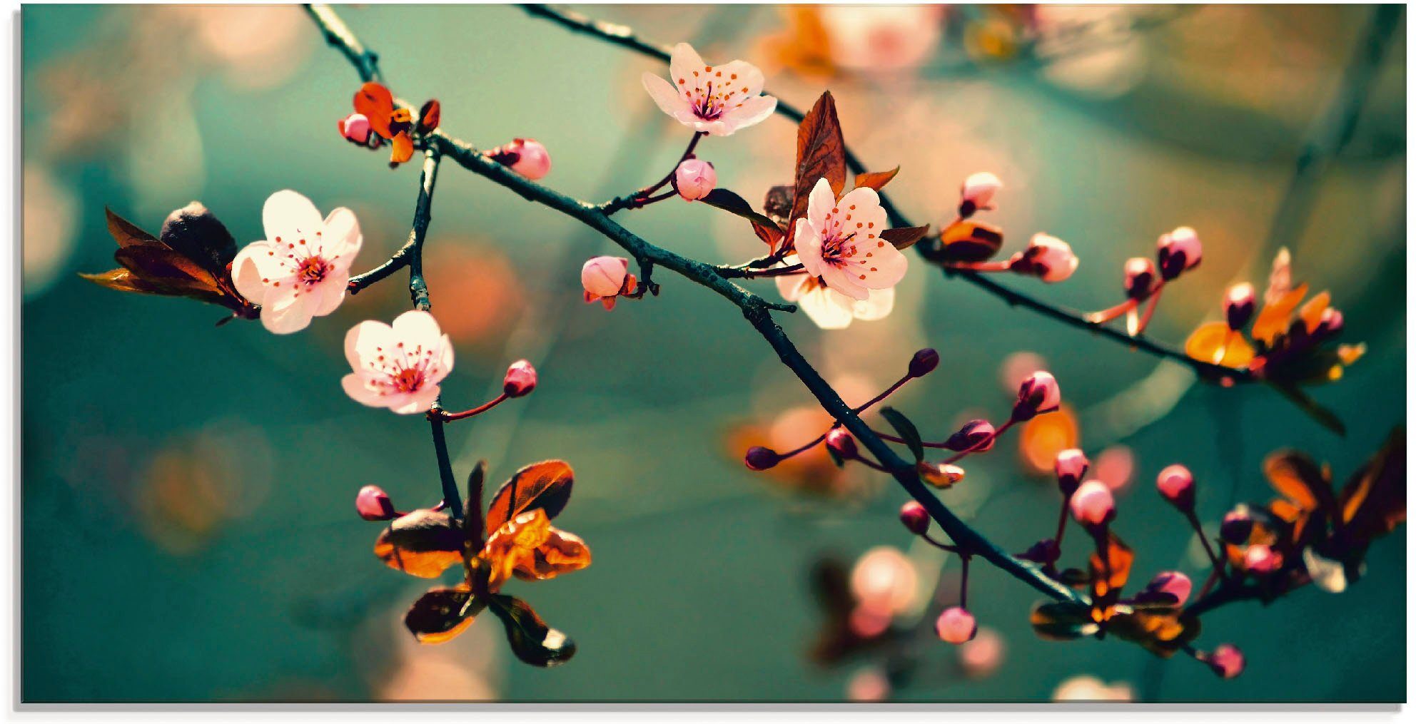 Artland Print op glas Japanse kers Sakura bloemen (1 stuk)