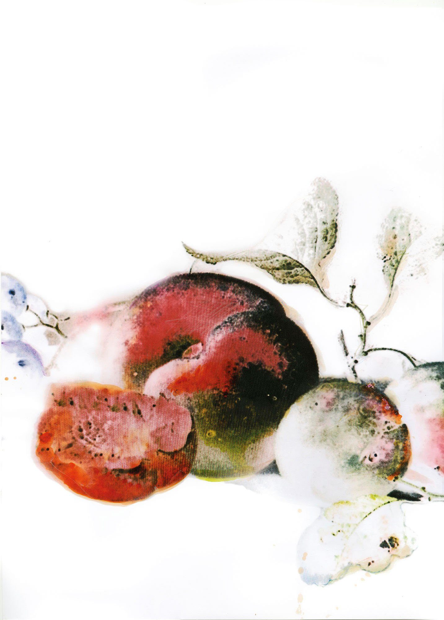 Komar Wanddecoratie Dessert Fruité Wanddecoratie - zonder lijst (1 stuk) food maat 50 cm x 70 cm
