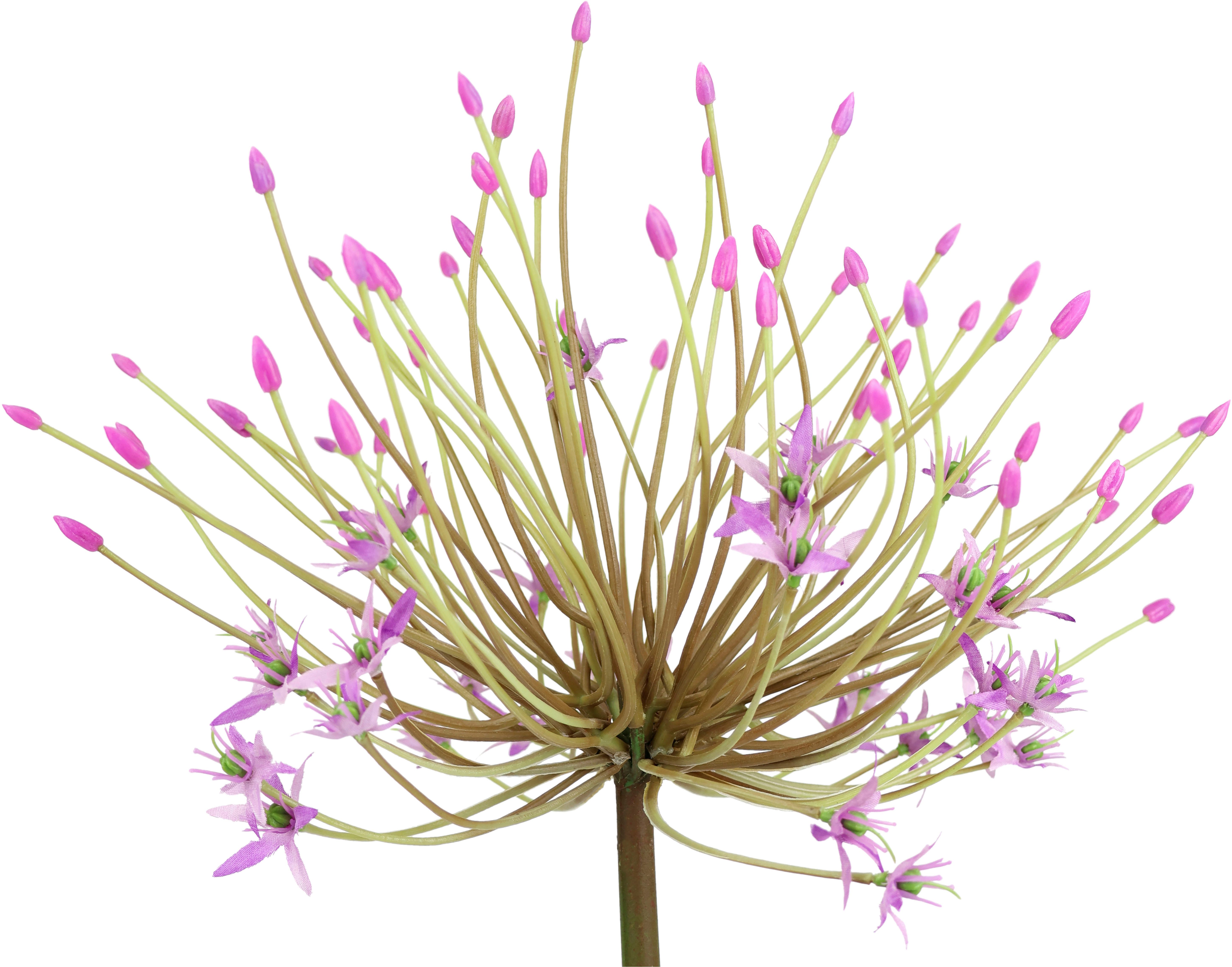 I.GE.A. Kunstbloem Allium sierlook Stelenbloem kunstbloemen(2 stuks)