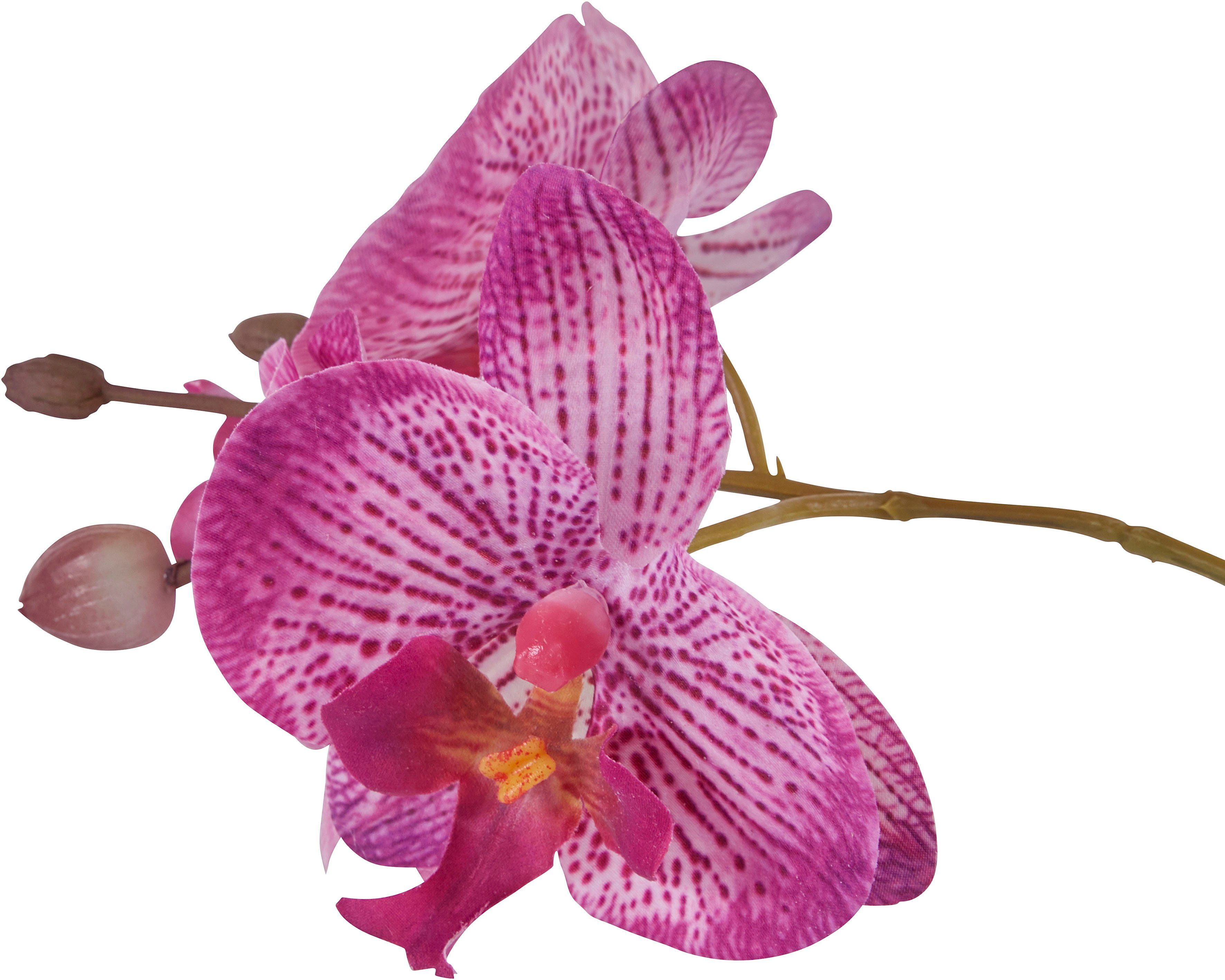 Home affaire Kunstplant Orchidee Kunstorchidee, in een pot (1 stuk)