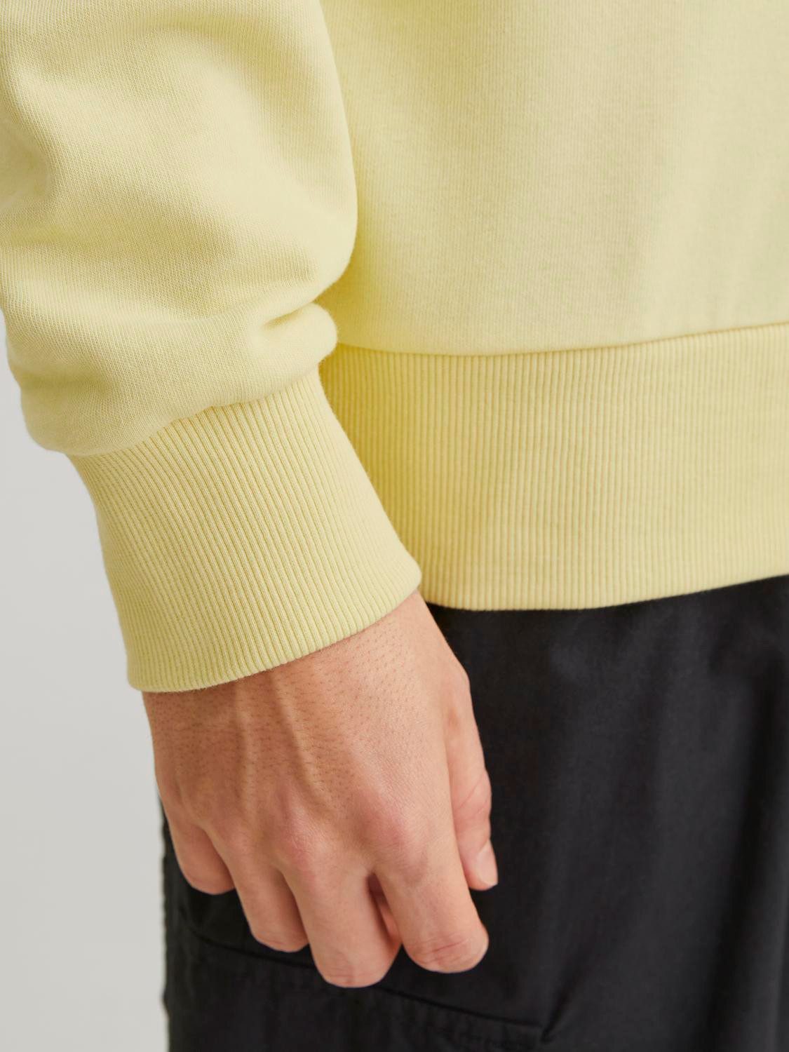 Jack & Jones Hoodie JJSUMMER VIBE SWEAT HOOD