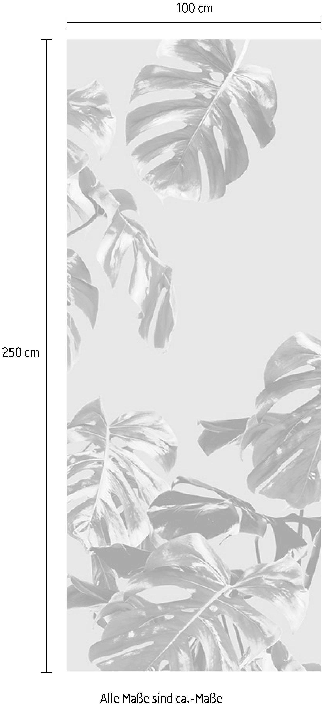 Komar Vliesbehang Digitale print vlies - Monstera Rosé Panel - Afmeting 100 x 250 cm (1 stuk)