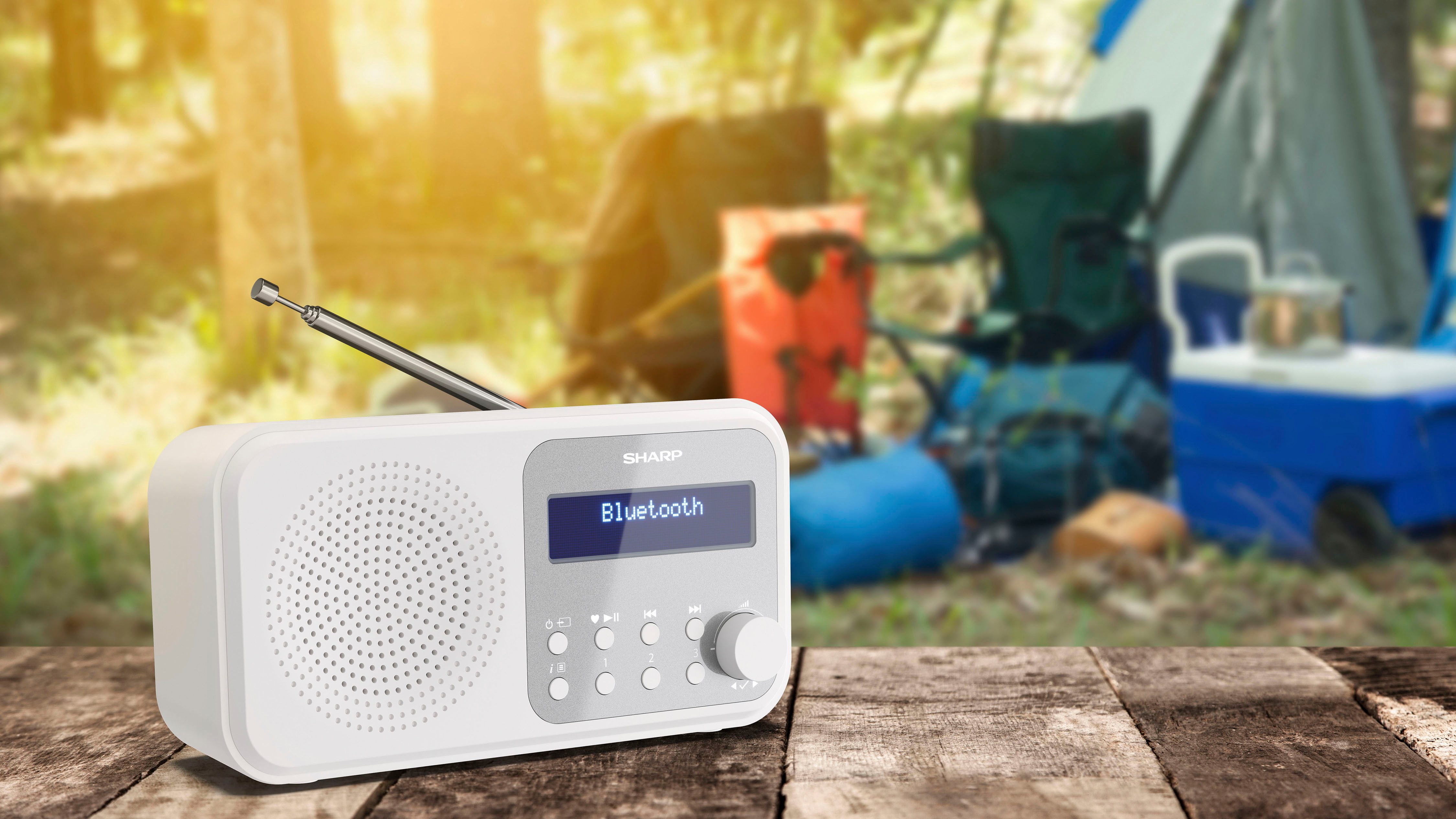 Sharp Radio DR-P420