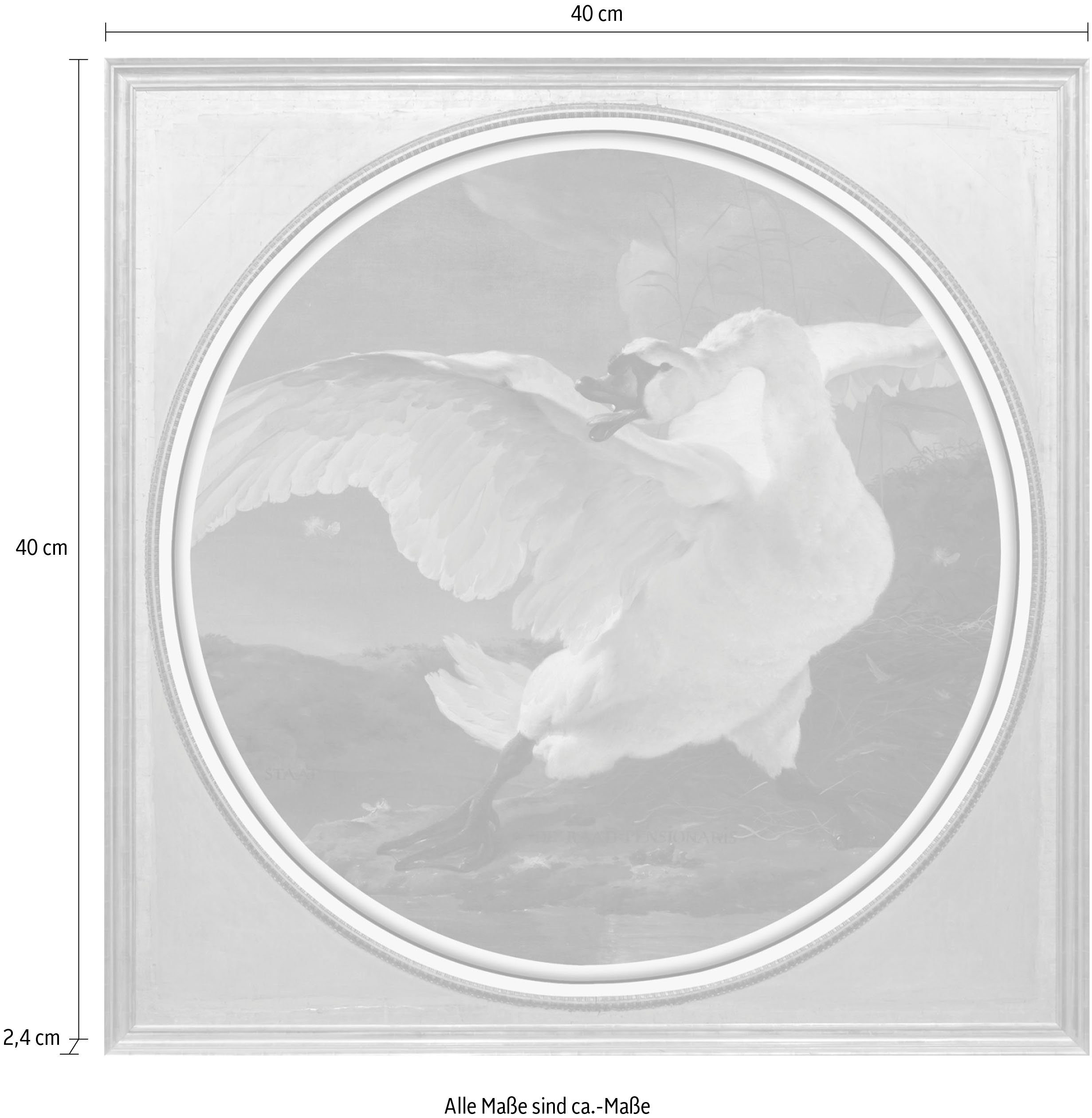 queence Artprint op acrylglas Zwaan Fine Art-print in galeriekwaliteit