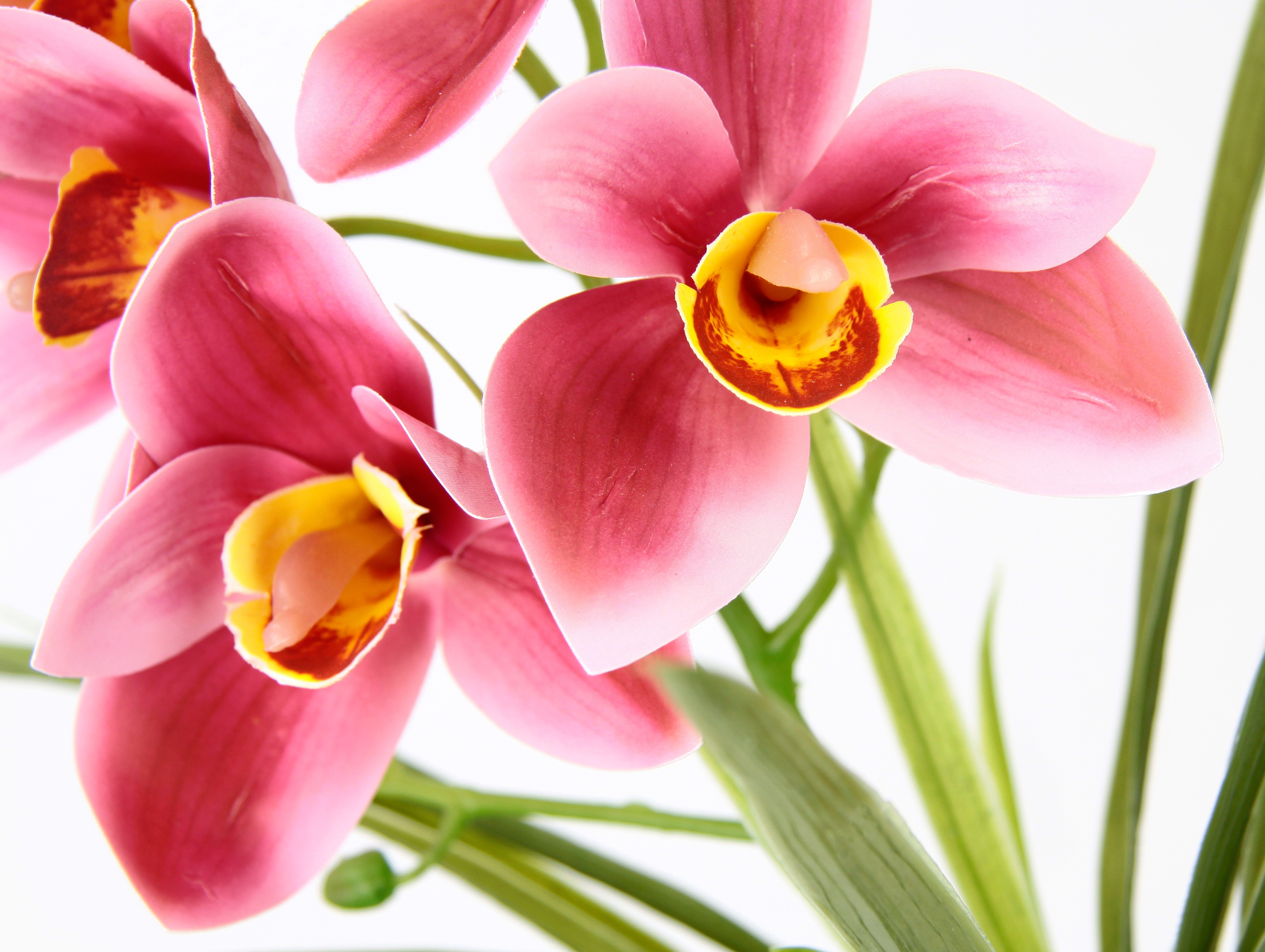 I.GE.A. Kunstbloem Orchidee Met bladeren in pot van keramiek, kunstbloem Cymbidium-orchidee (1 stuk)