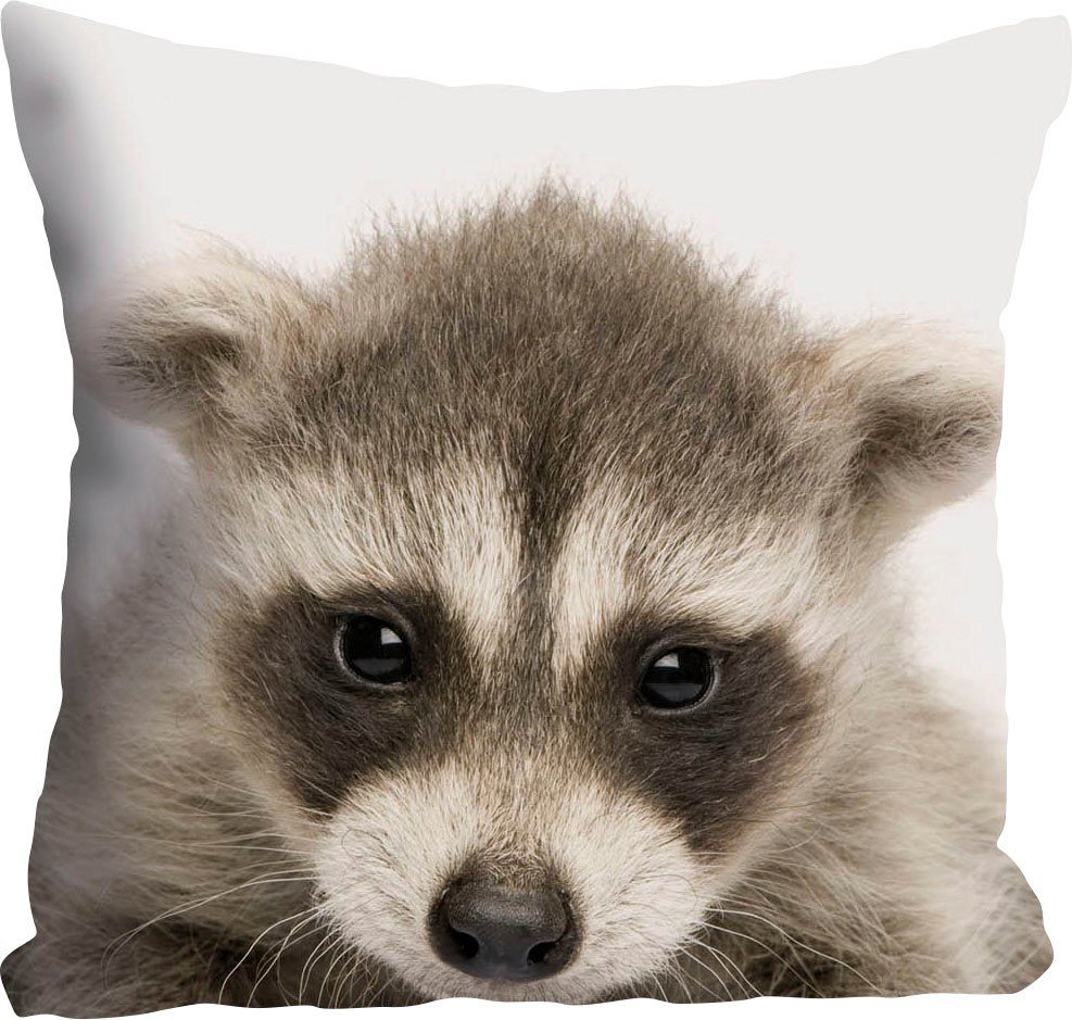 queence Sierkussen DEAN Kussenhoes, wasbeer, grappig, dieren, schattig, vriendelijk, natuur, bos, kleurrijk (1 stuk)