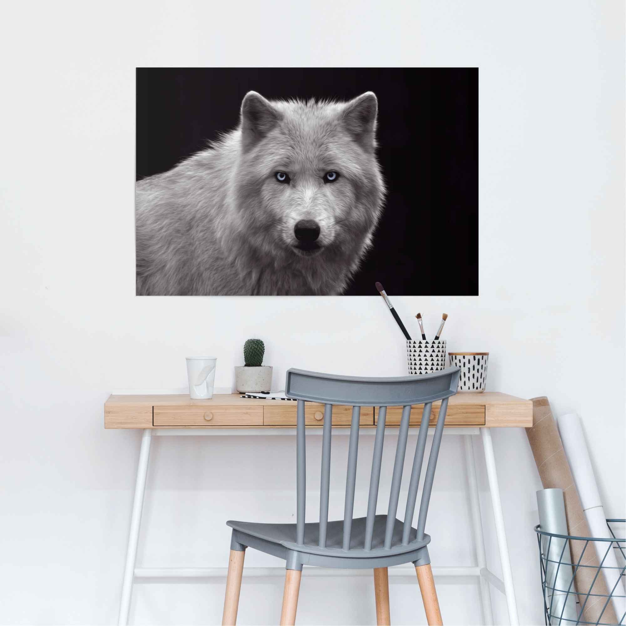 Reinders! Poster Witte wolf