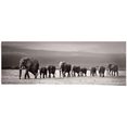 reinders! poster olifantenkudde op reis (1 stuk) zwart