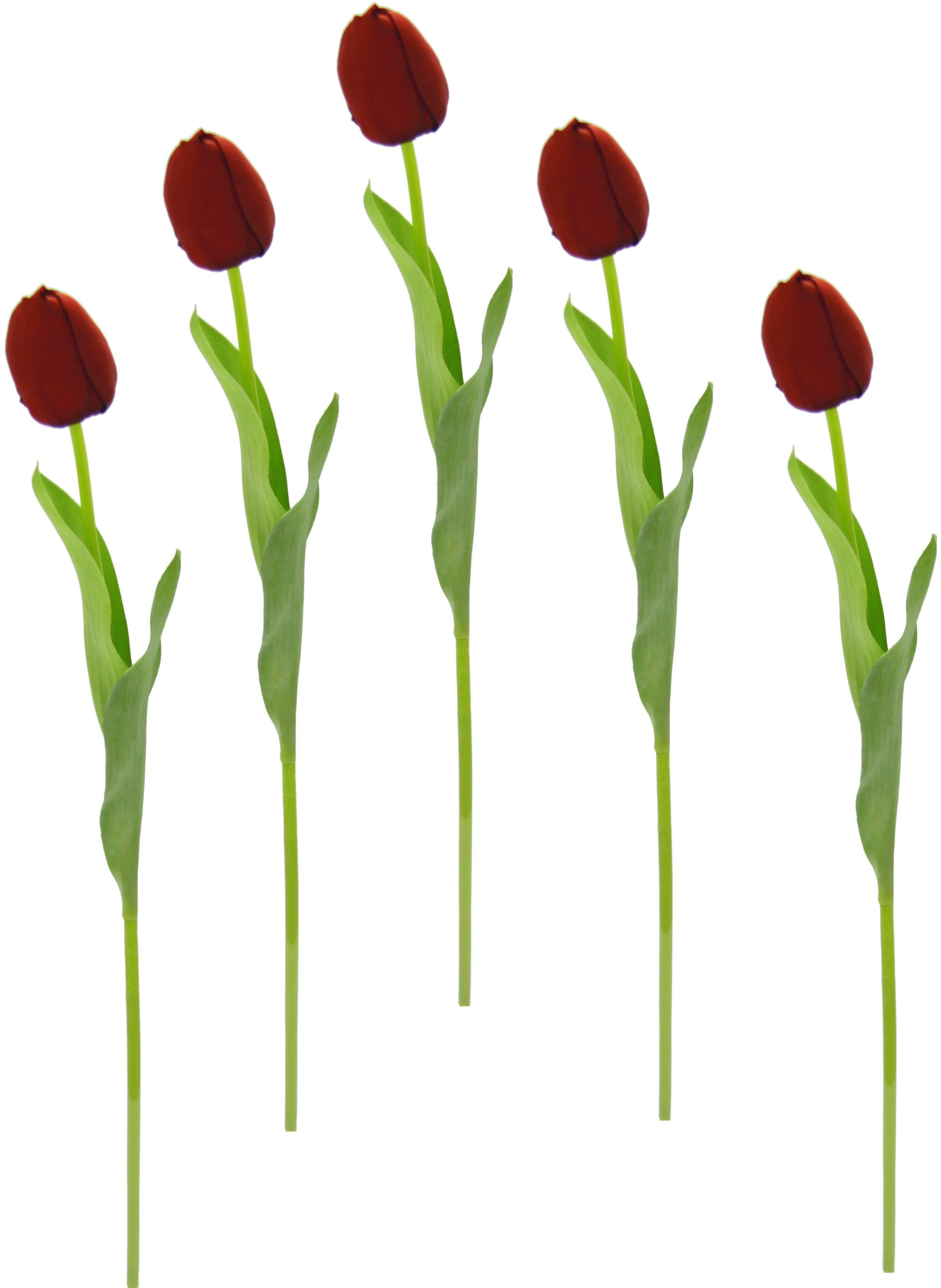 I.GE.A. Kunstbloem Real Touch Tulpen set van 5 kunst-tulpenknoppen kunstbloemen snijbloem (5 stuks)