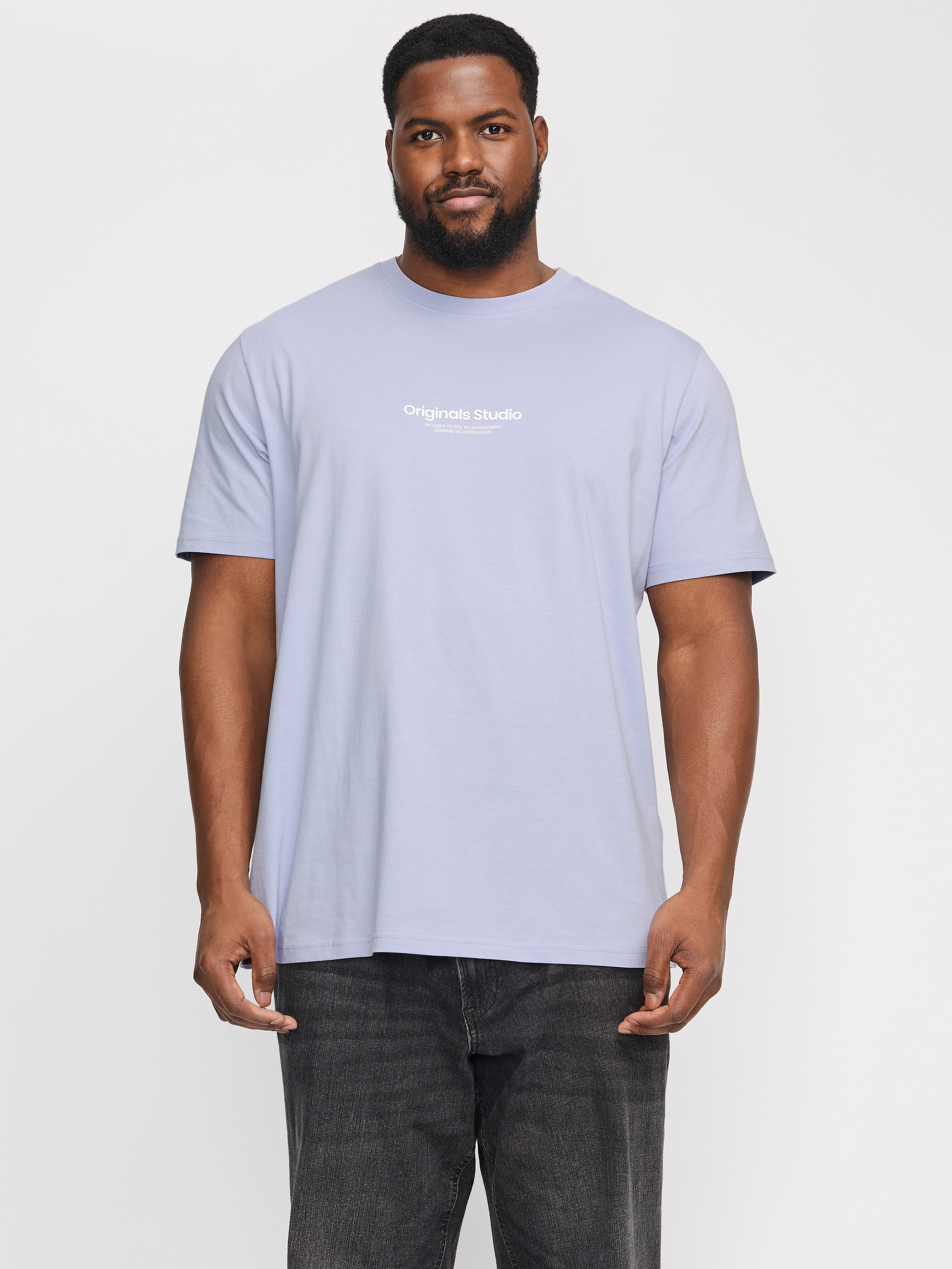 Jack & Jones PlusSize Shirt met korte mouwen JORVESTERBRO TEE SS CREW NECK NOOS PLS