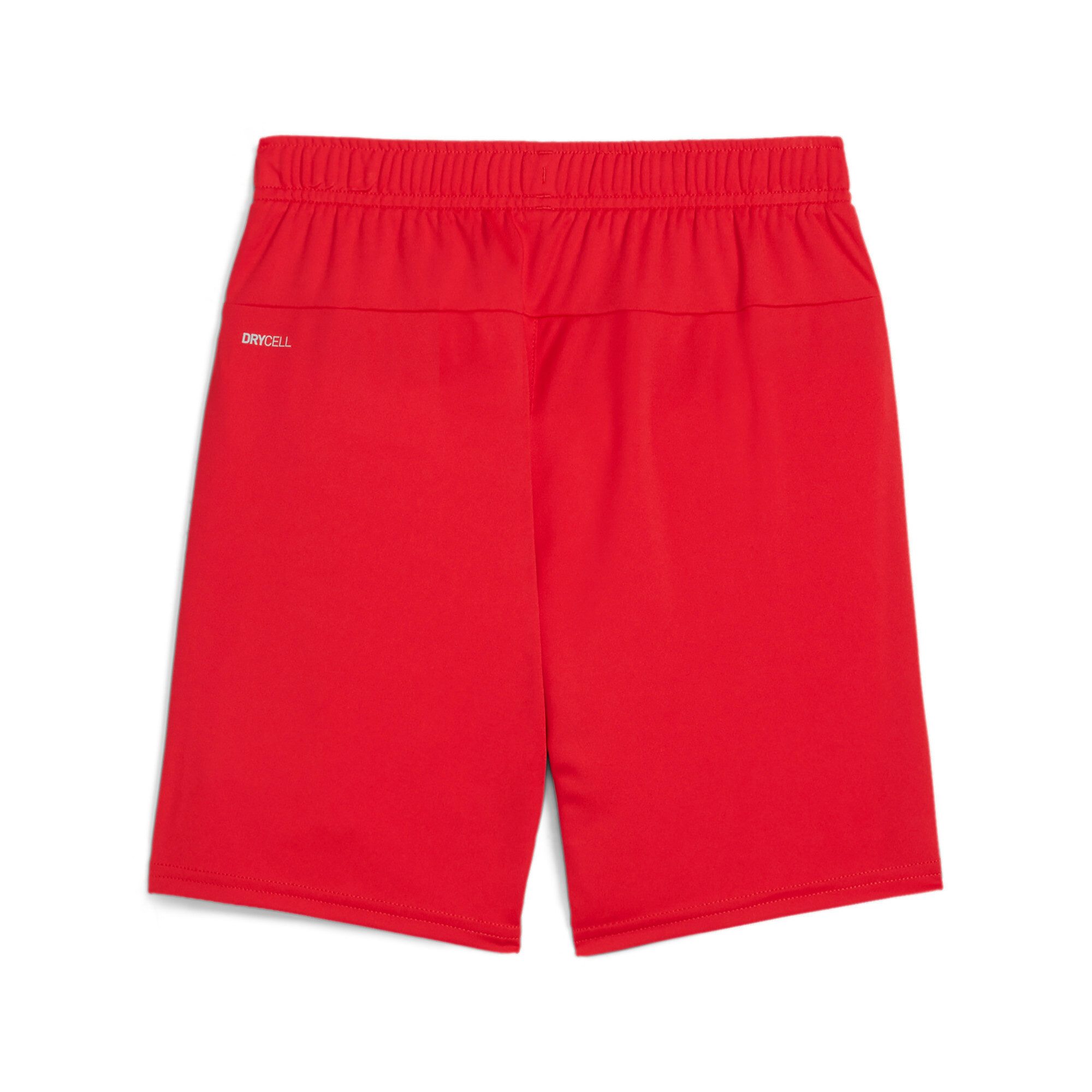 PUMA Trainingsshort TEAMGOAL SHORTS JR