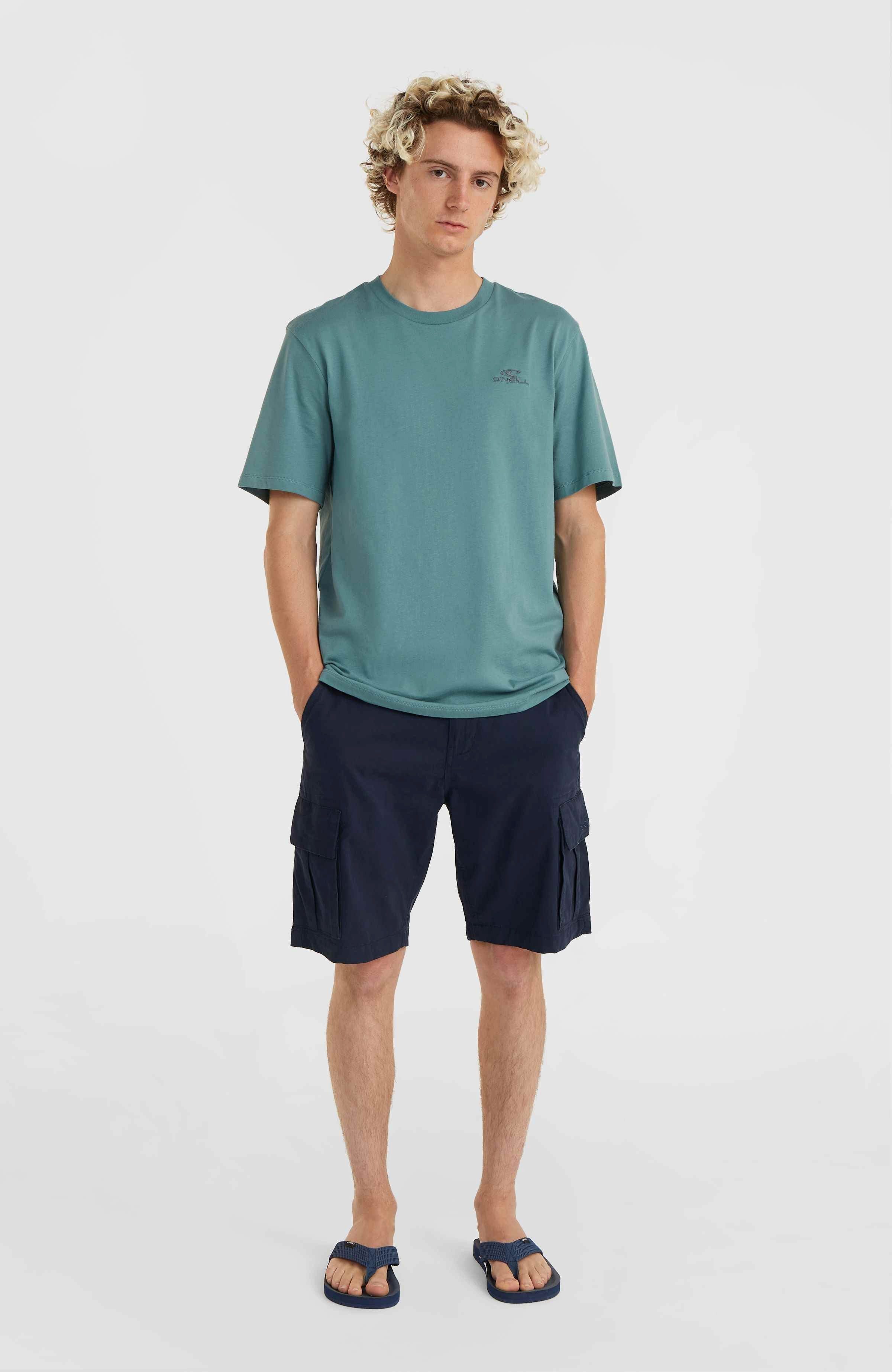 O'Neill T-shirt O'NEILL SMALL LOGO T-SHIRT
