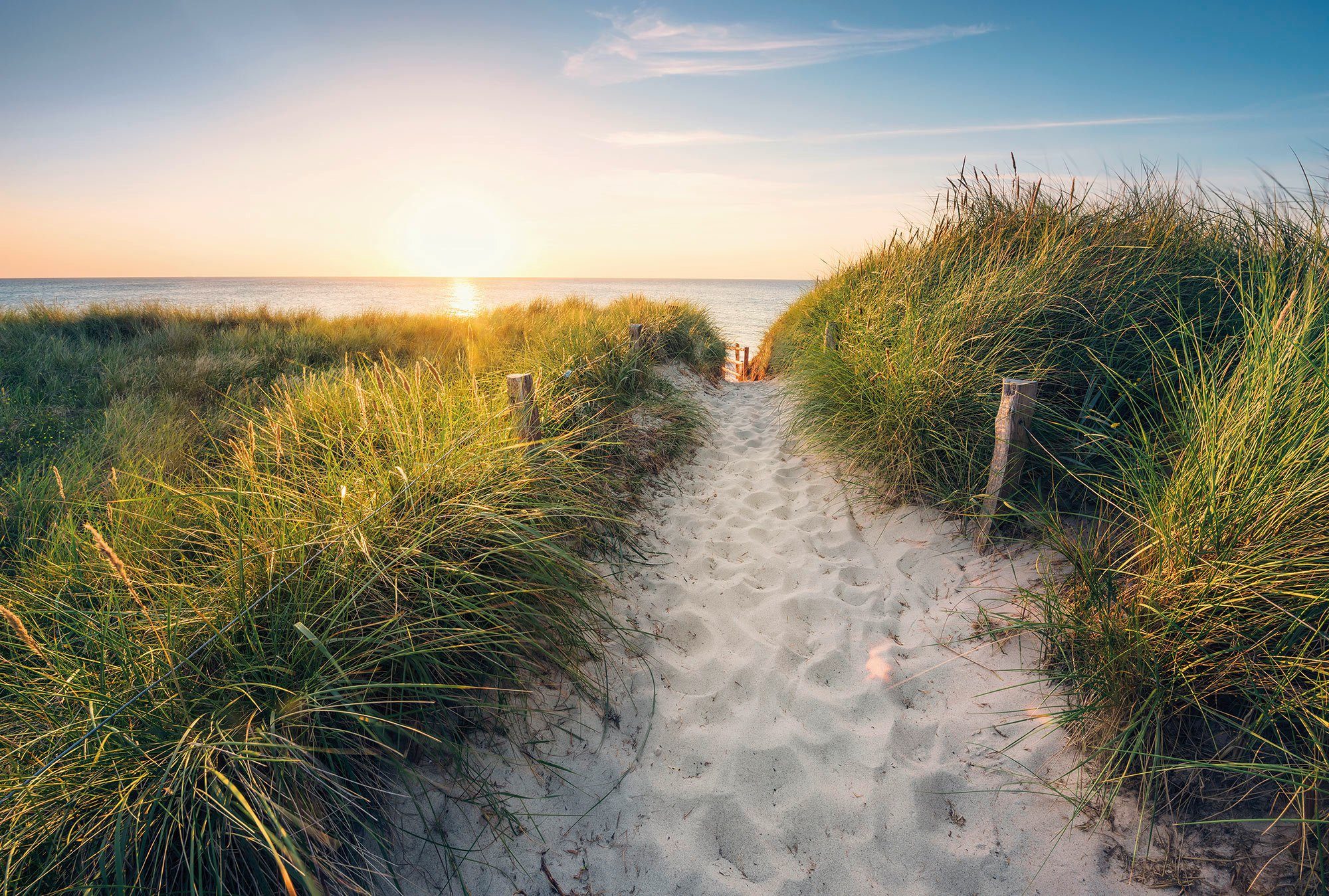 Komar Fotobehang Vlies - Way to the Beach - Afmeting 368 x 248 cm (1 stuk) fotobehang multicolor